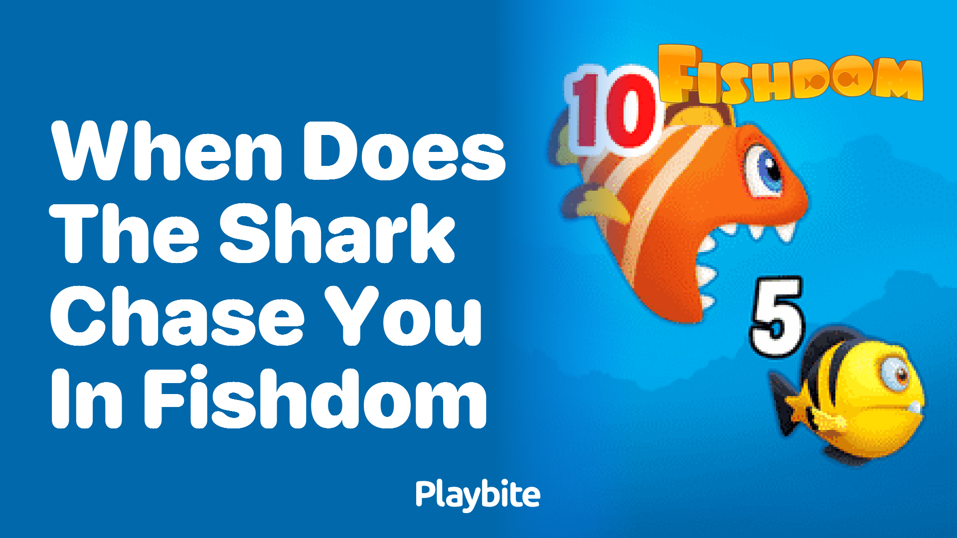 When does the shark chase you in Fishdom?