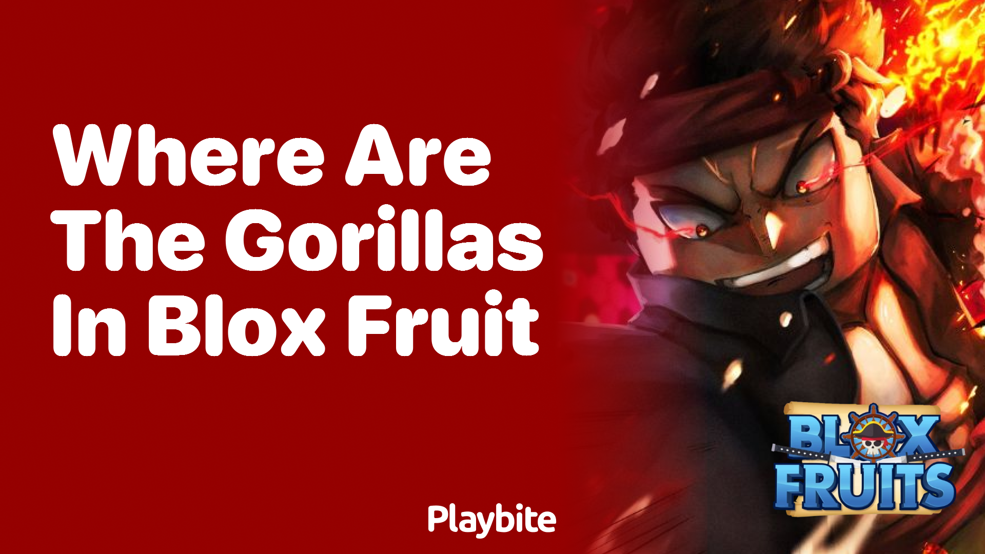 Where Are the Gorillas in Blox Fruit?