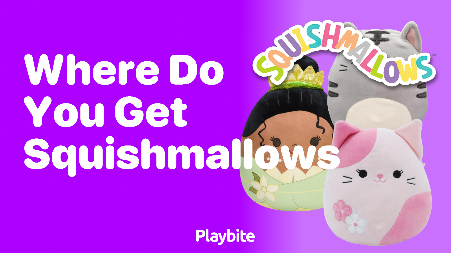 Where Do You Get Squishmallows? Exploring the Cuddliest Spots!