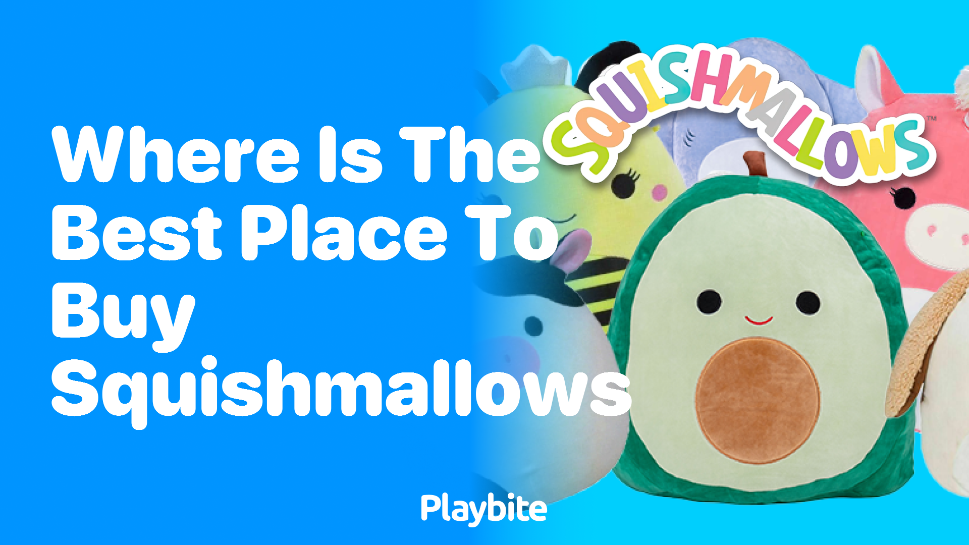 Where Is the Best Place to Buy Squishmallows?