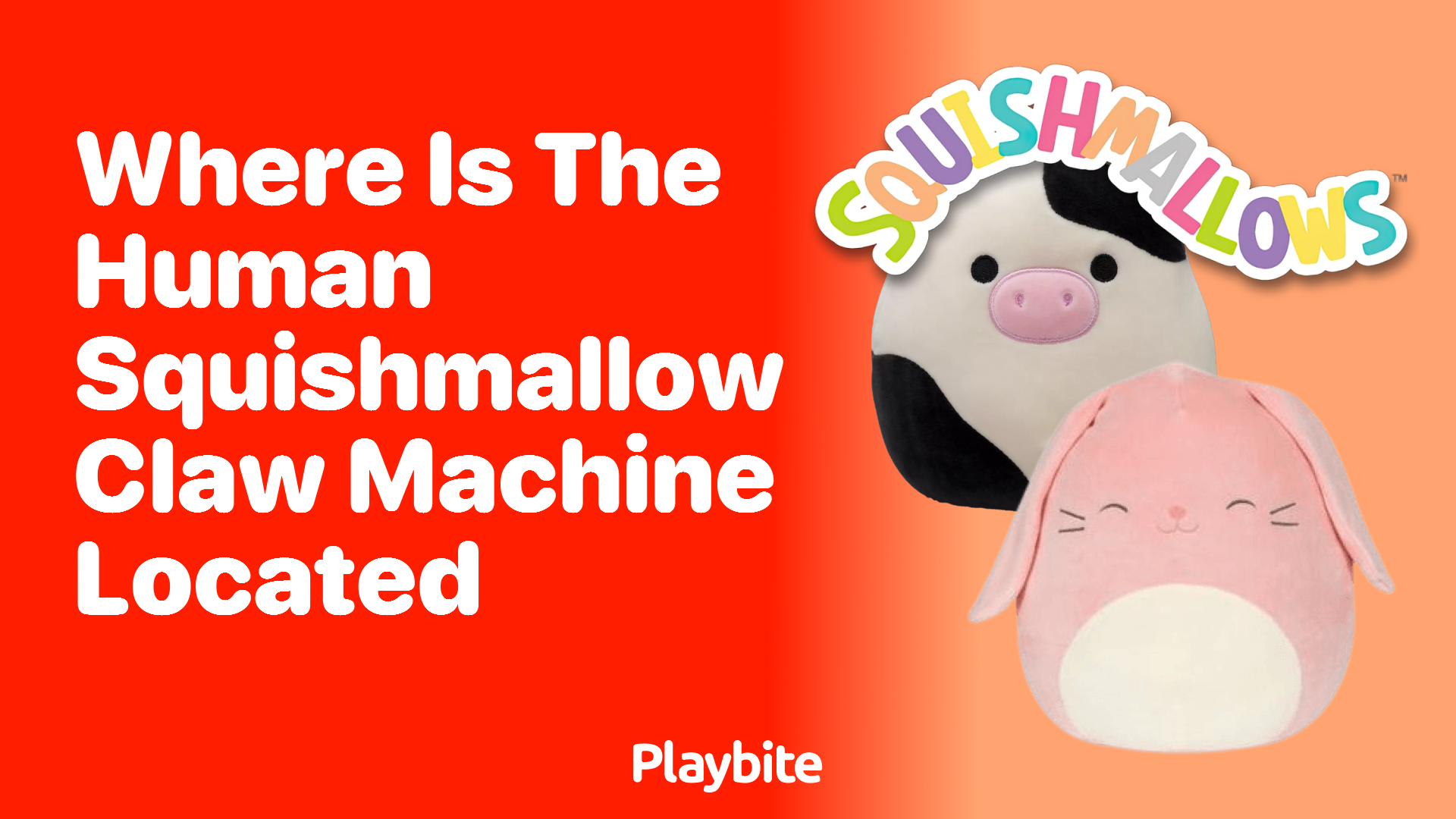 Where Is the Human Squishmallow Claw Machine Located?