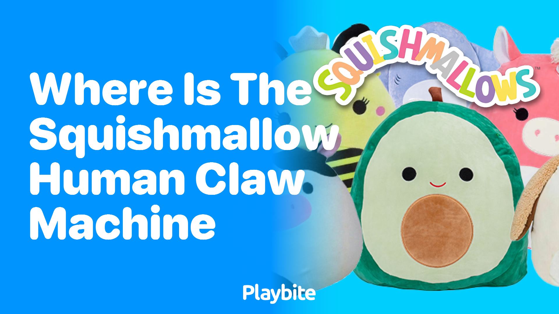 Where is the Squishmallow Human Claw Machine?