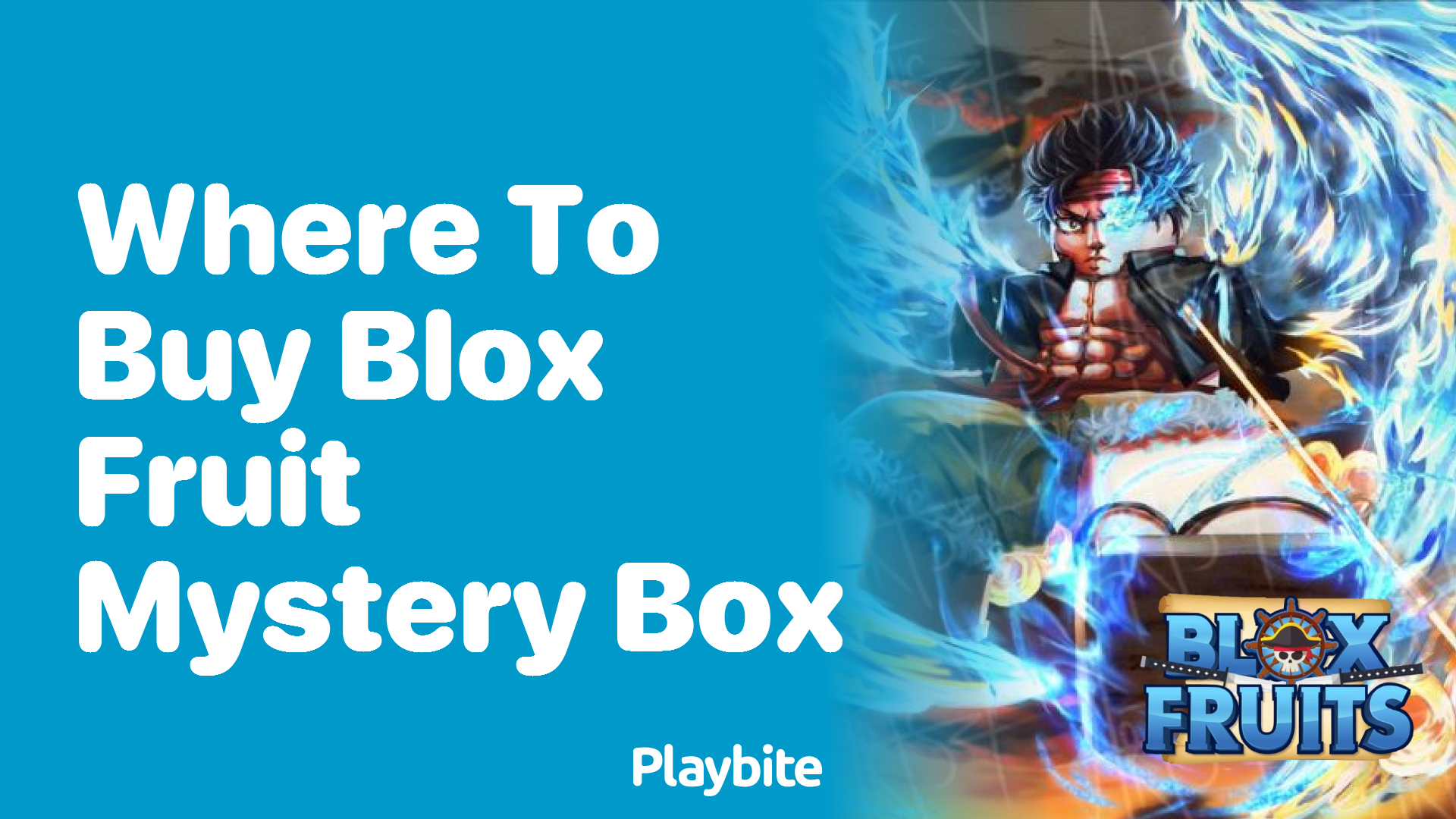 Where to Buy Blox Fruit Mystery Box?