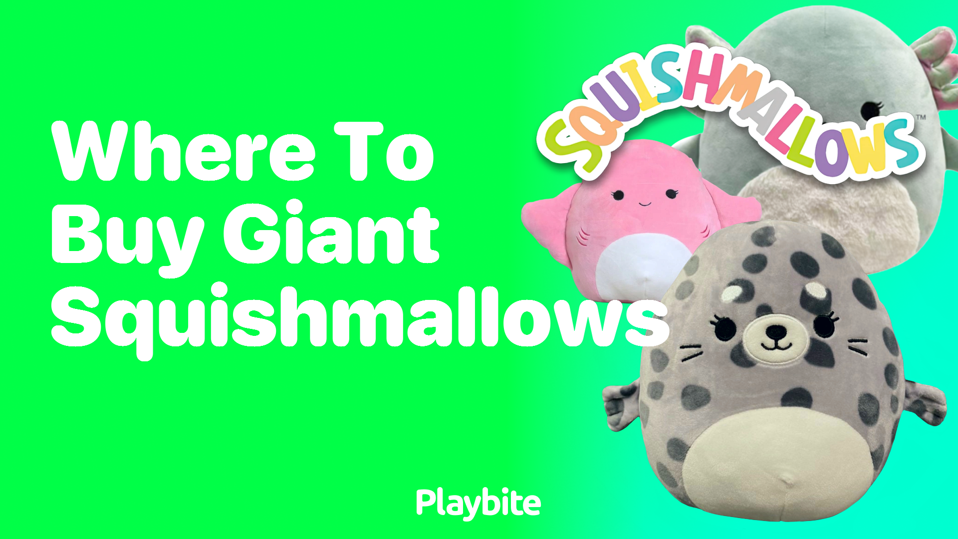 Where to Buy Giant Squishmallows: A Fun Guide to Finding Your Next Cuddly Friend