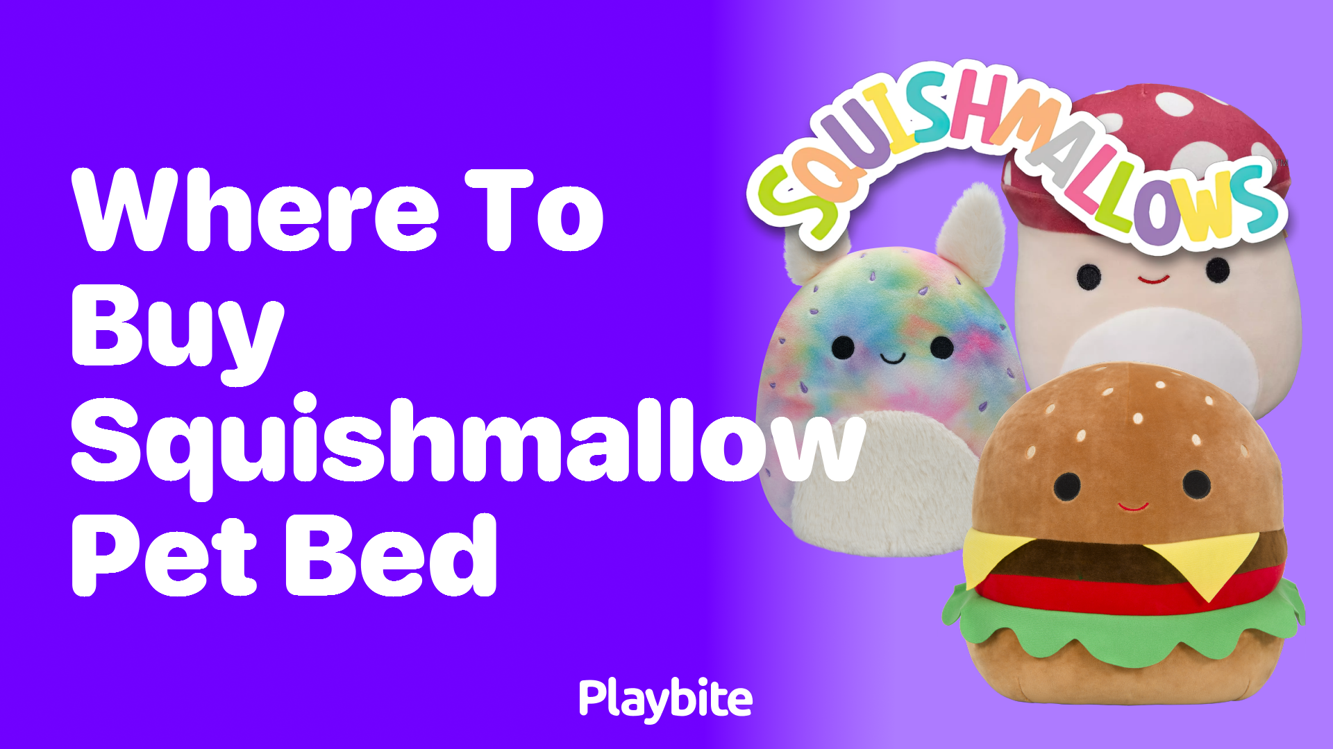 Where to Buy Squishmallow Pet Bed: Find the Softest Spot for Your Furry Friends