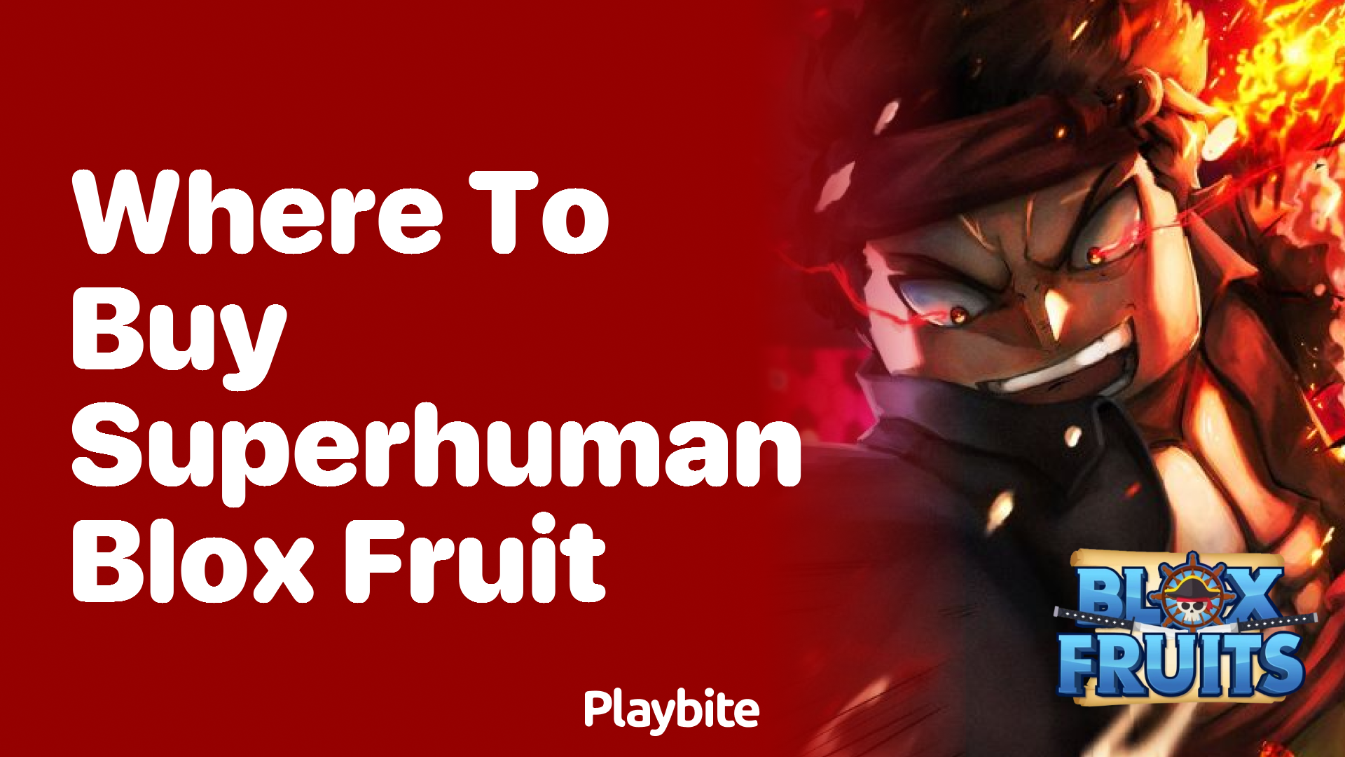 Where to Buy Superhuman Blox Fruit