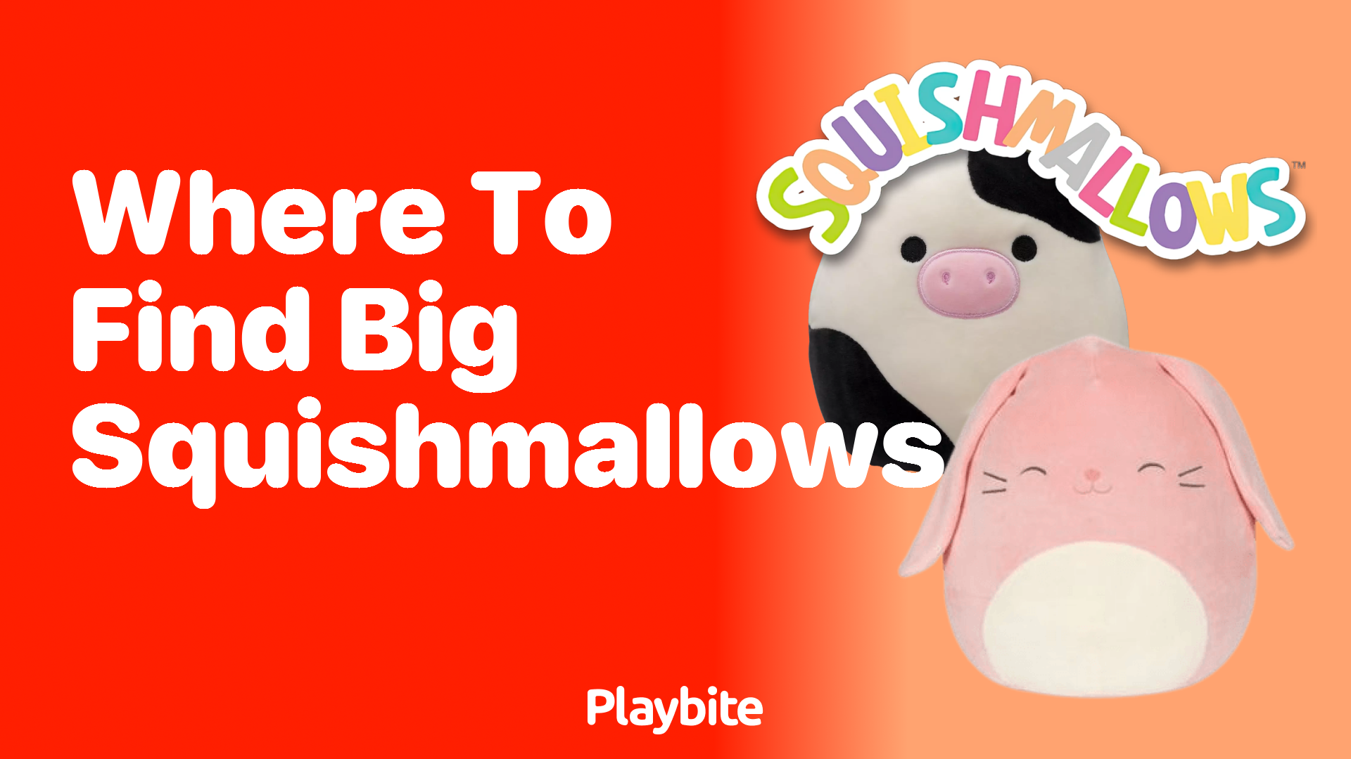 Where to Find Big Squishmallows: Your Ultimate Guide