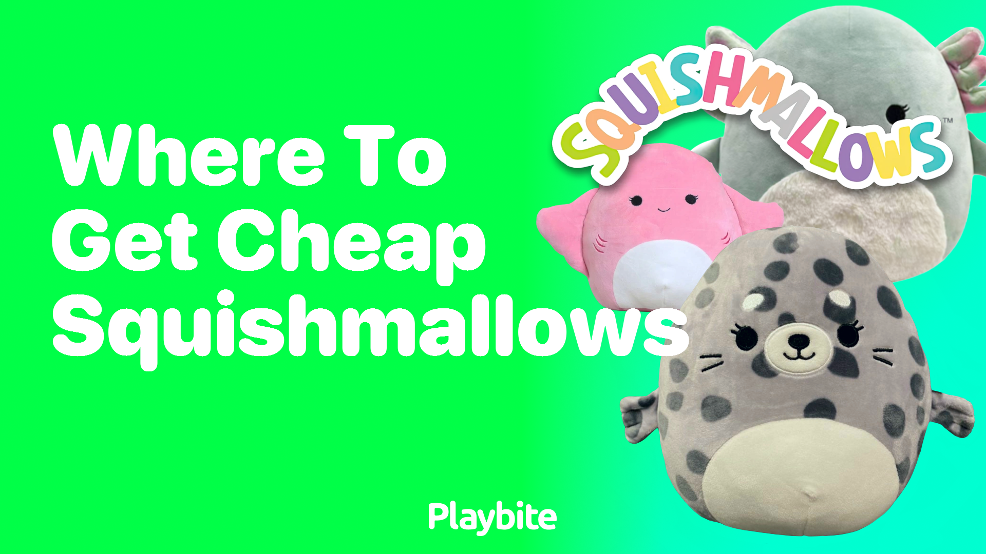 Where to Get Cheap Squishmallows: Your Ultimate Guide