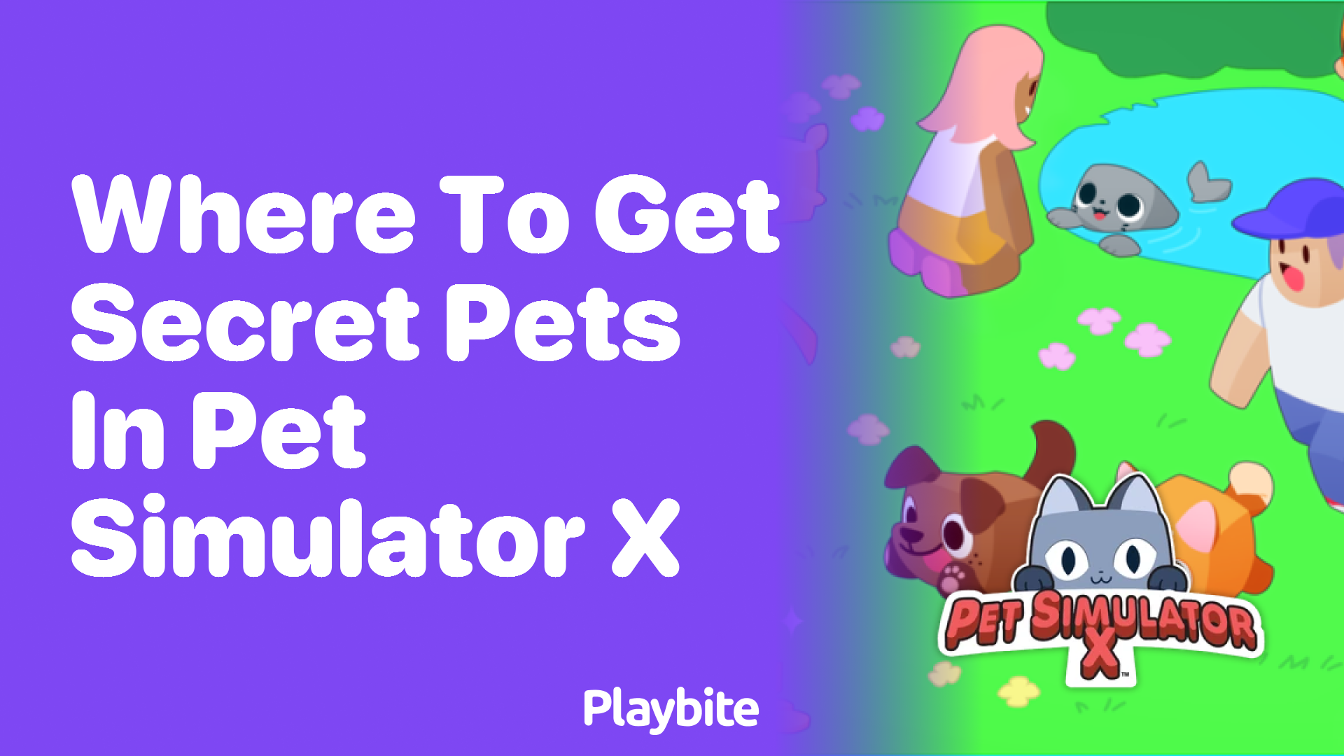 Where to Get Secret Pets in Pet Simulator X