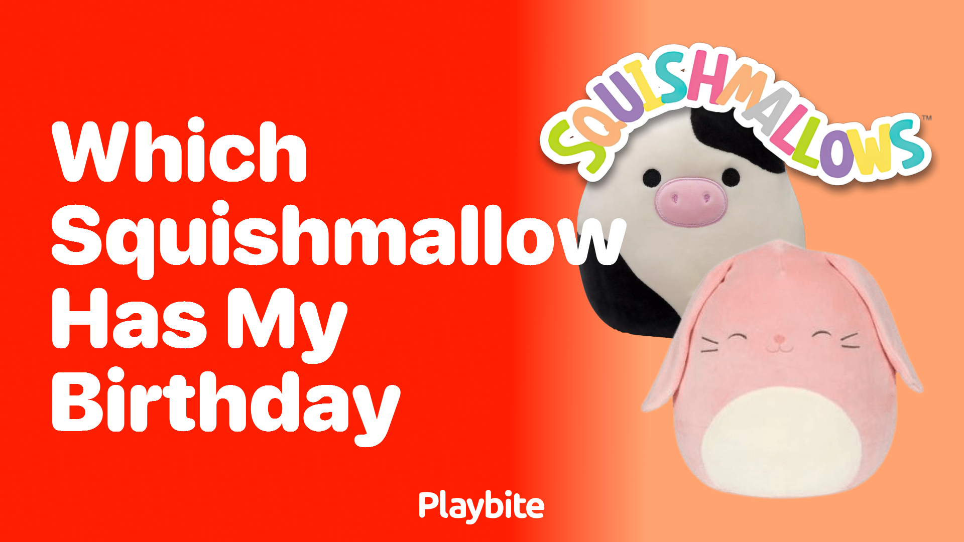 Which Squishmallow Has My Birthday? Find Out Now!