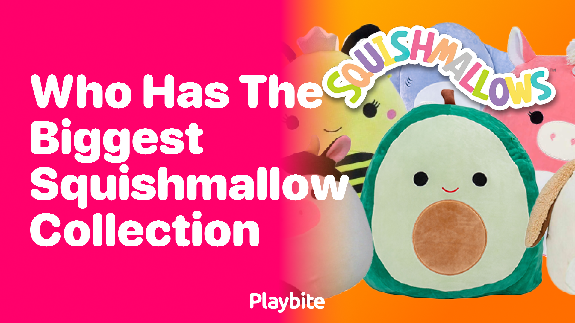 Who Has the Biggest Squishmallow Collection?