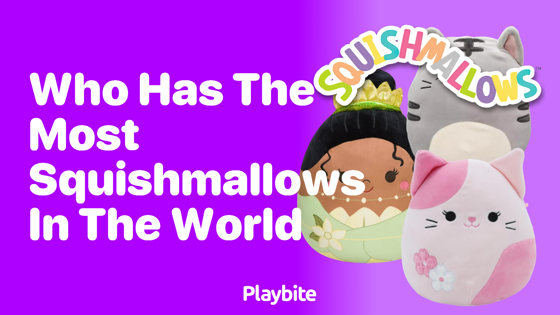 Who Has the Most Squishmallows in the World?