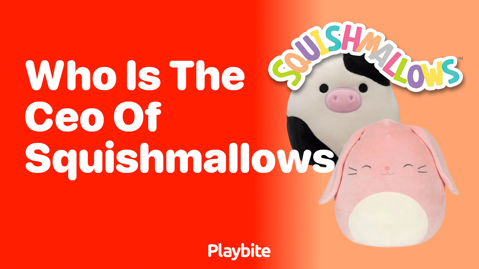 Who is the CEO of Squishmallows? Unveiling the Leadership Behind the Cuddly Sensation