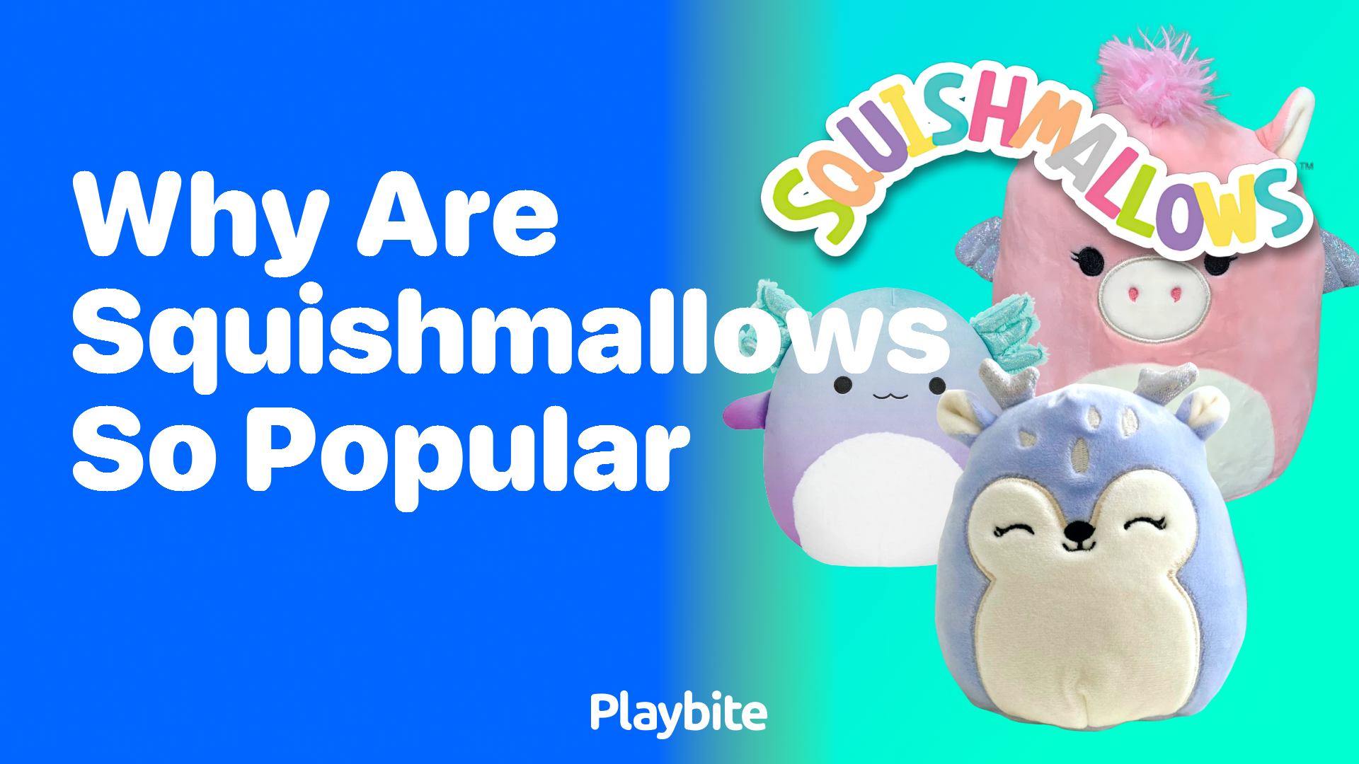 Why Are Squishmallows So Popular?