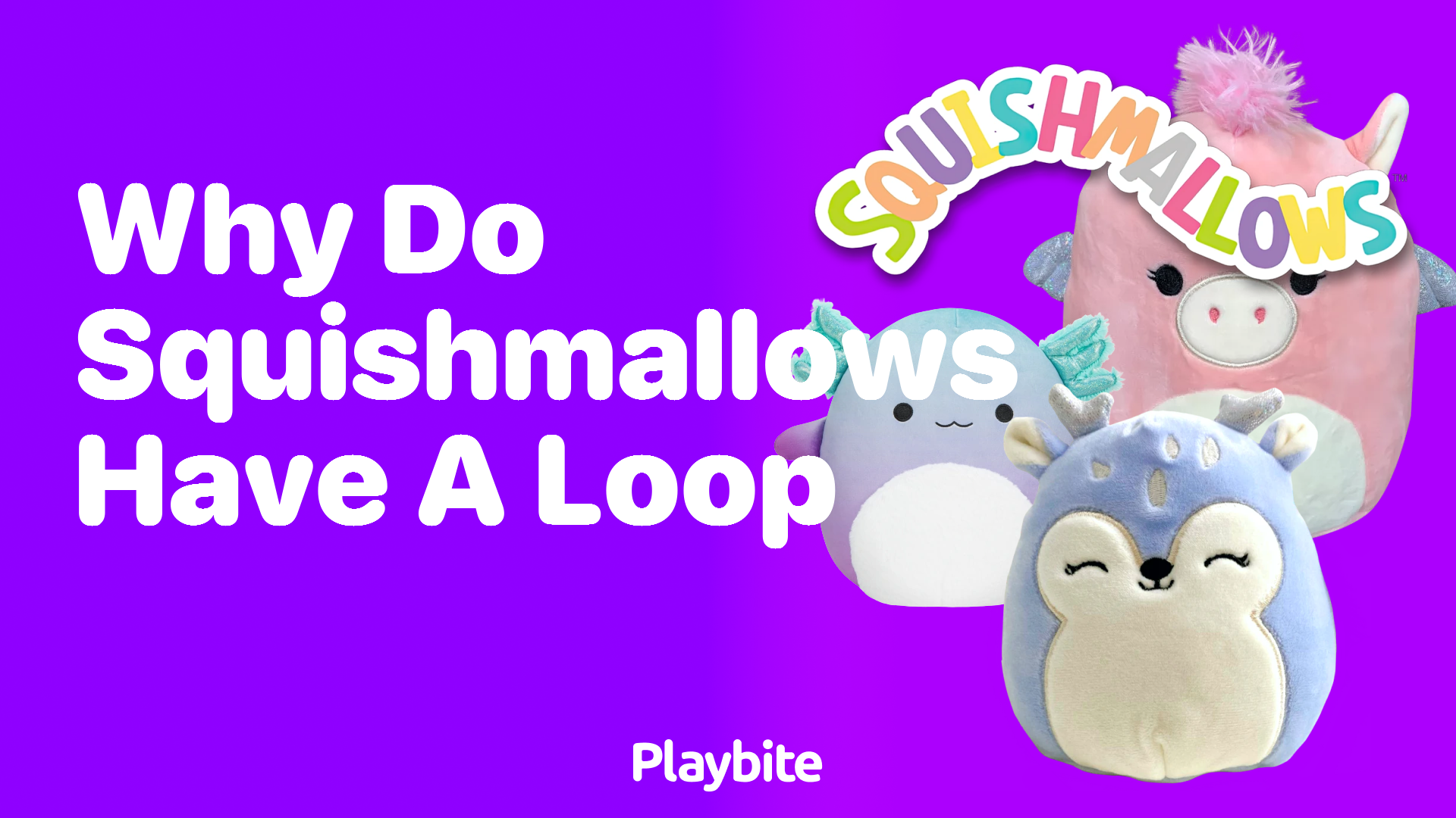 Why Do Squishmallows Have a Loop?