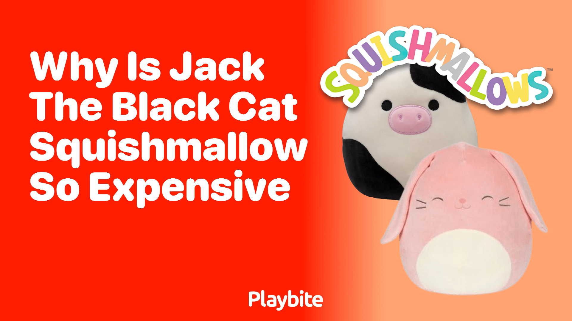 Why Is Jack the Black Cat Squishmallow So Expensive?