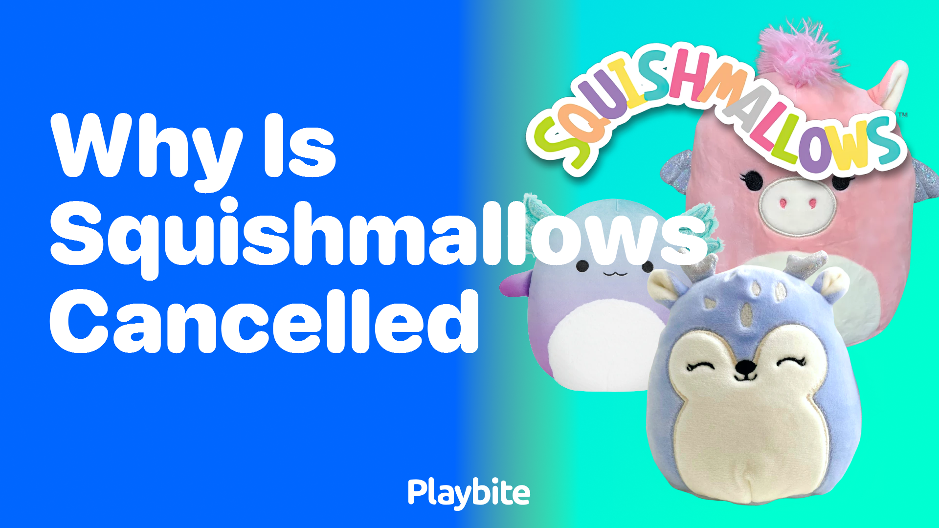 Why Is Squishmallows Cancelled? Let&#8217;s Unravel the Mystery