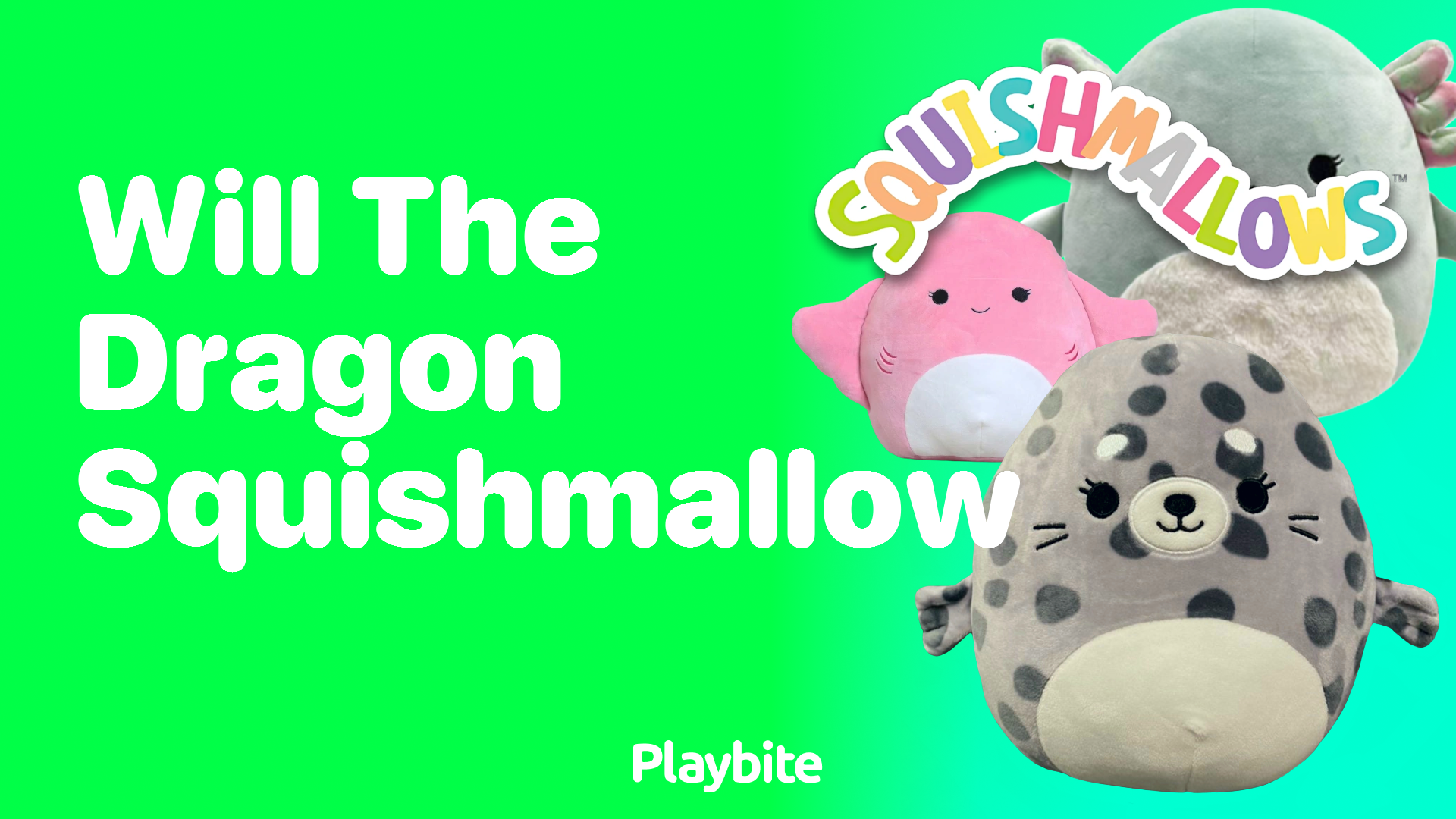 Will the Dragon Squishmallow Be Your Next Cuddly Friend?