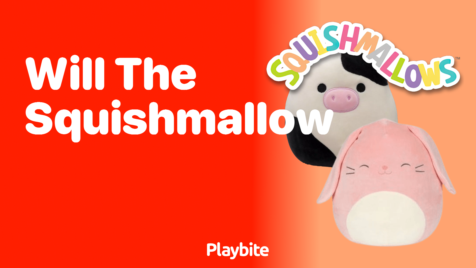 Will the Squishmallow fit in my bag?