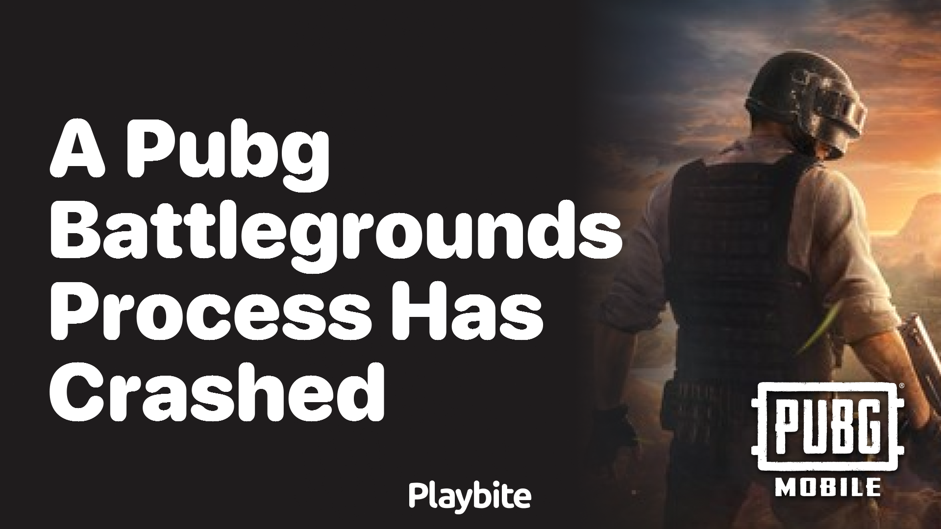 A PUBG Battlegrounds Process Has Crashed: What to Do? - Playbite