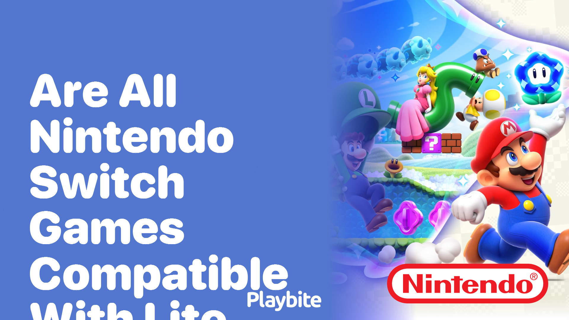 Are All Nintendo Switch Games Compatible with the Lite Version? - Playbite