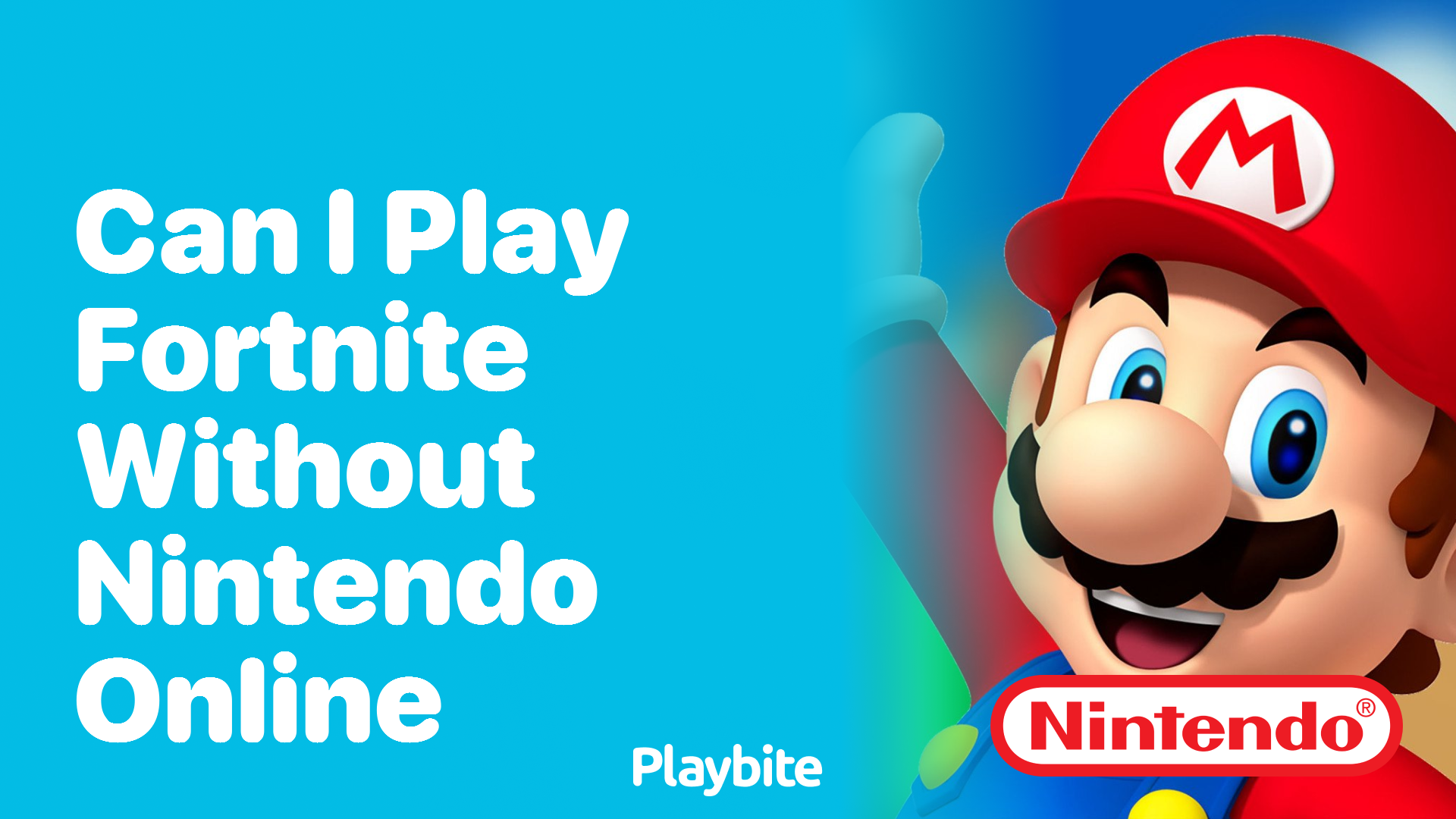 Can I Play Fortnite Without Nintendo Online Playbite