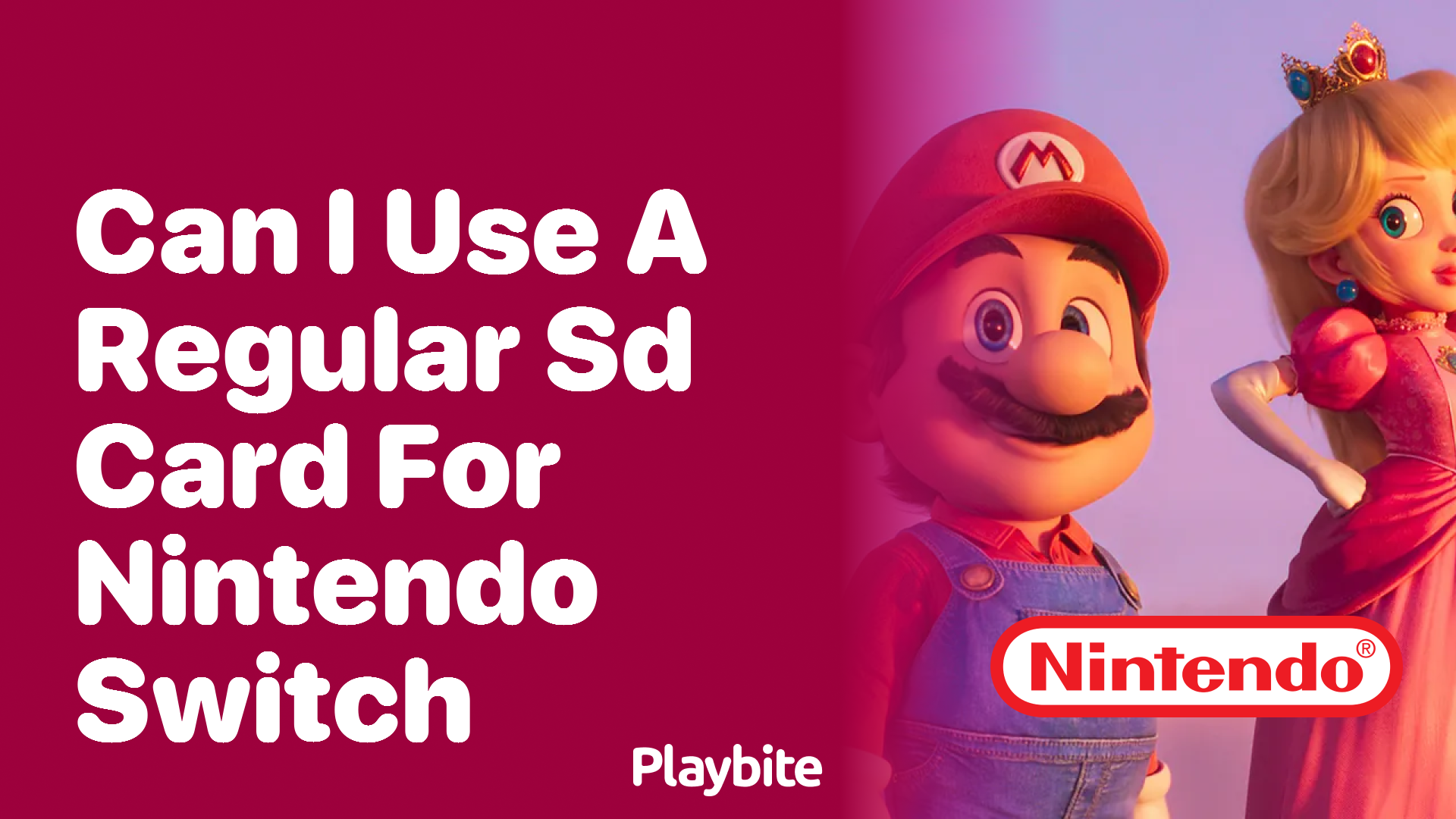 Can I Use a Regular SD Card for My Nintendo Switch Playbite