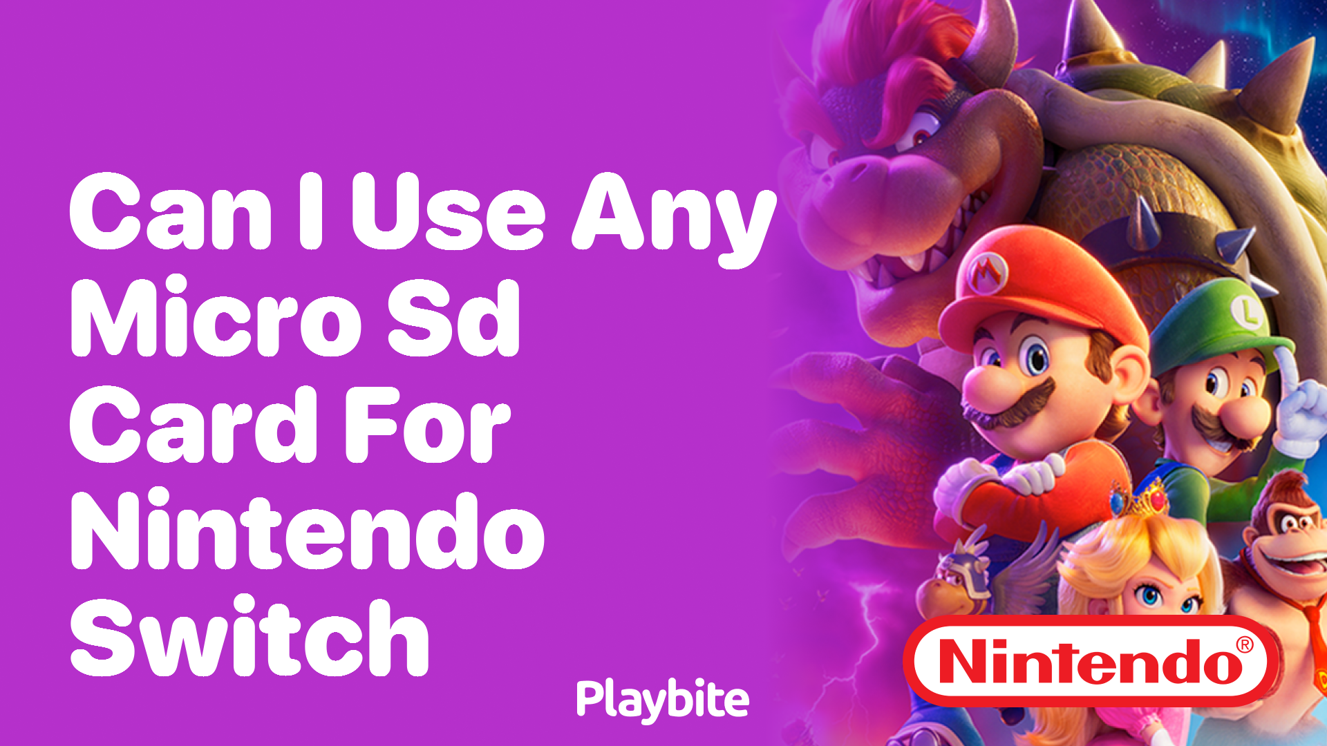 Can i use any micro hot sale sd card for my nintendo switch