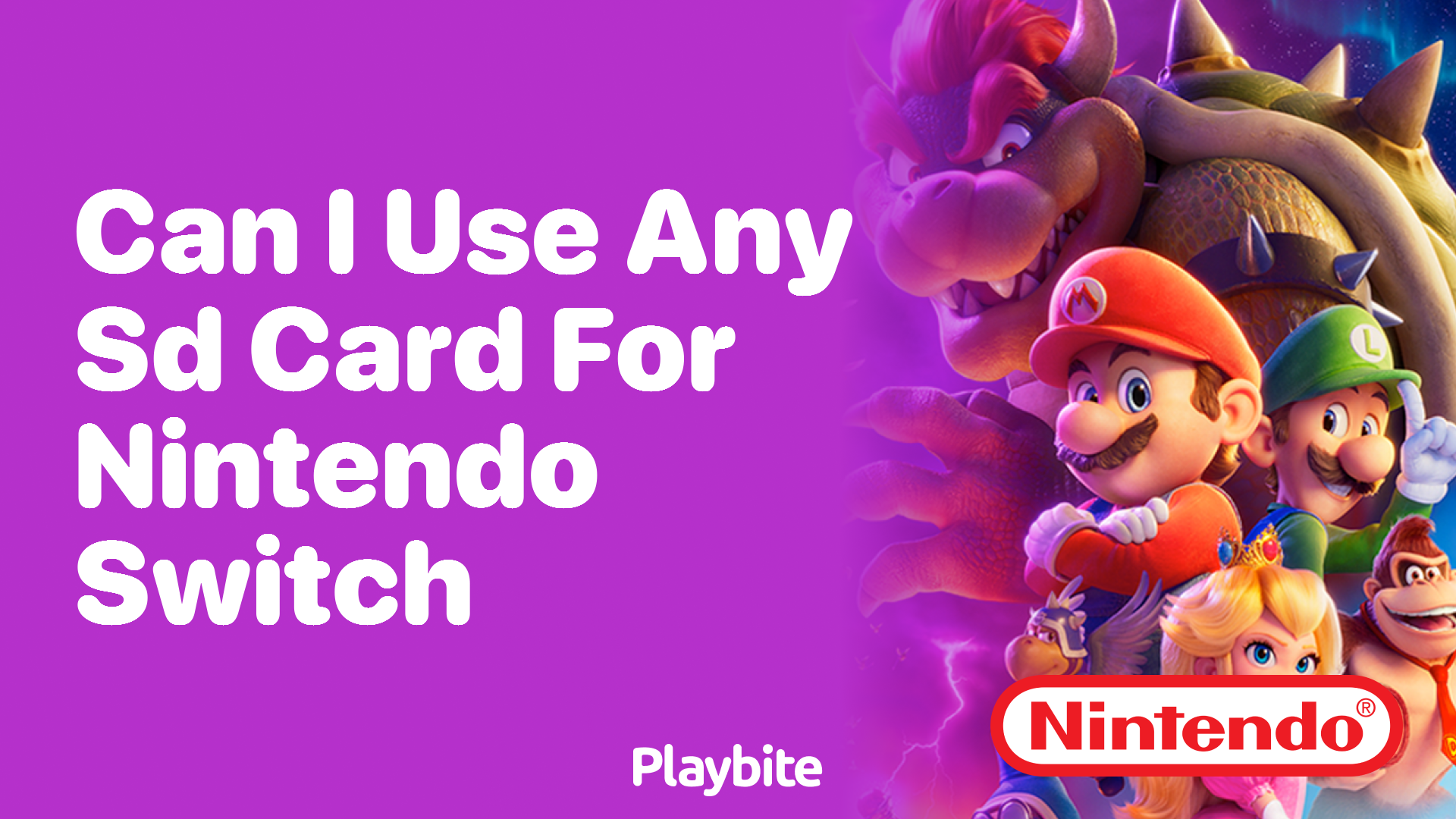 Can I Use Any SD Card for Nintendo Switch Playbite