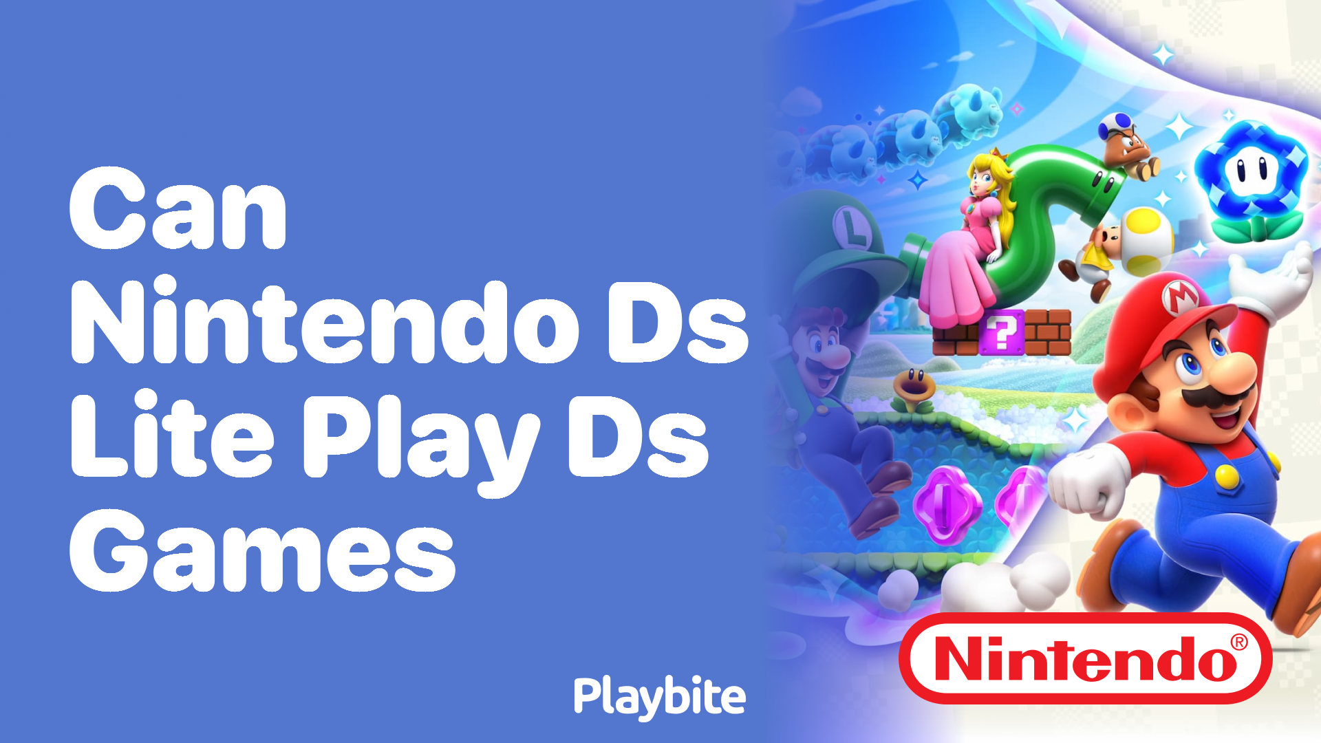 Can the Nintendo DS Lite Play DS Games? - Playbite