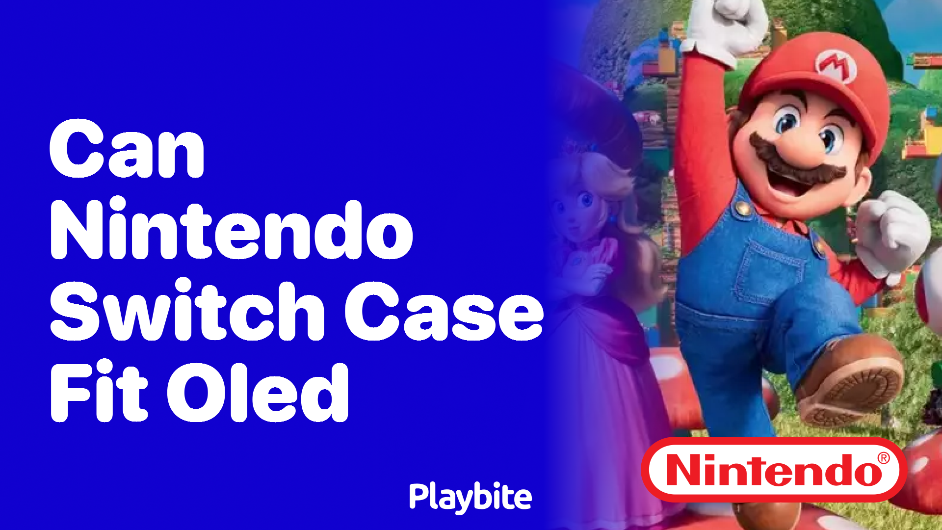 Can a Nintendo Switch Case Fit the Switch OLED Model? - Playbite