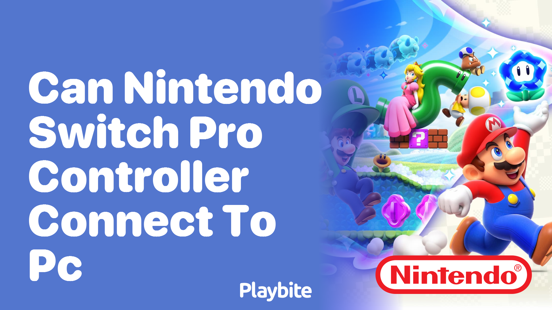 Can the Nintendo Switch Pro Controller Connect to PC?