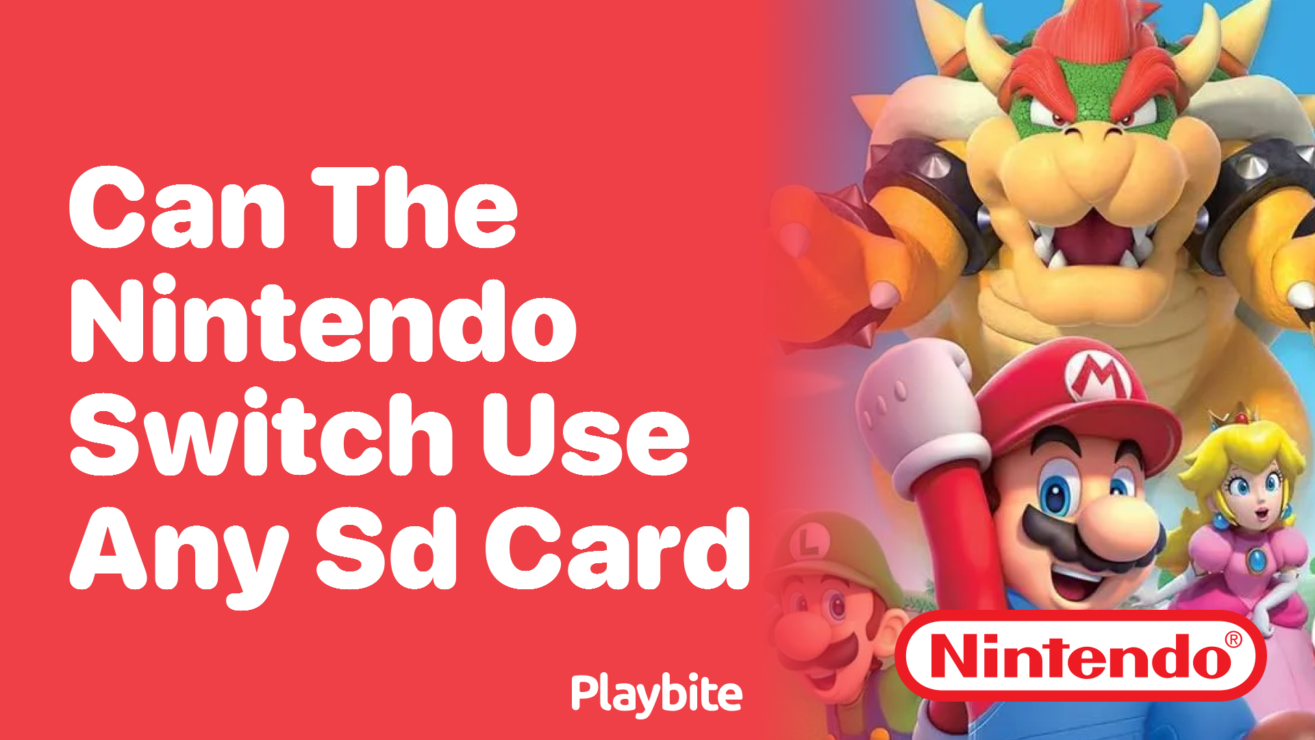 Can a nintendo switch use sale any sd card