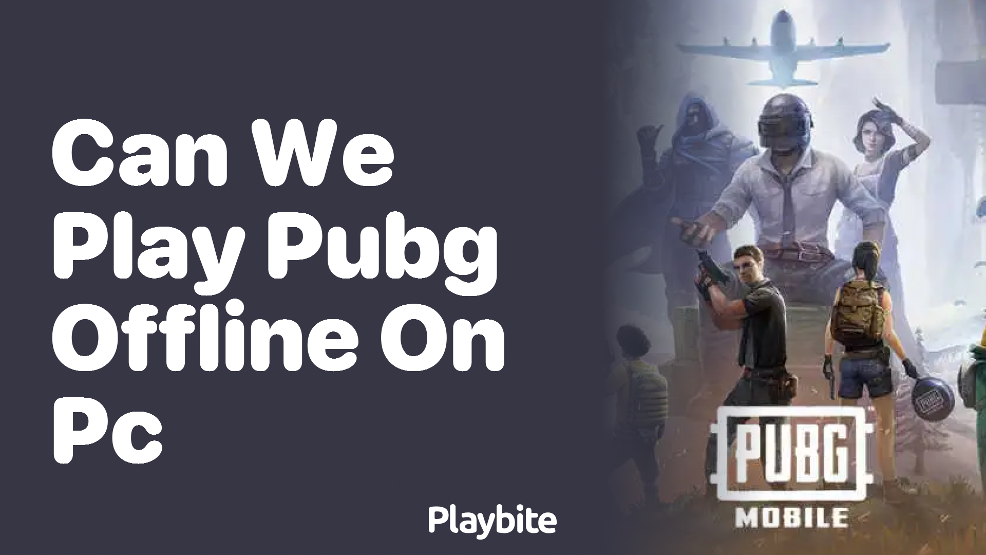 Can We Play PUBG Offline on PC?