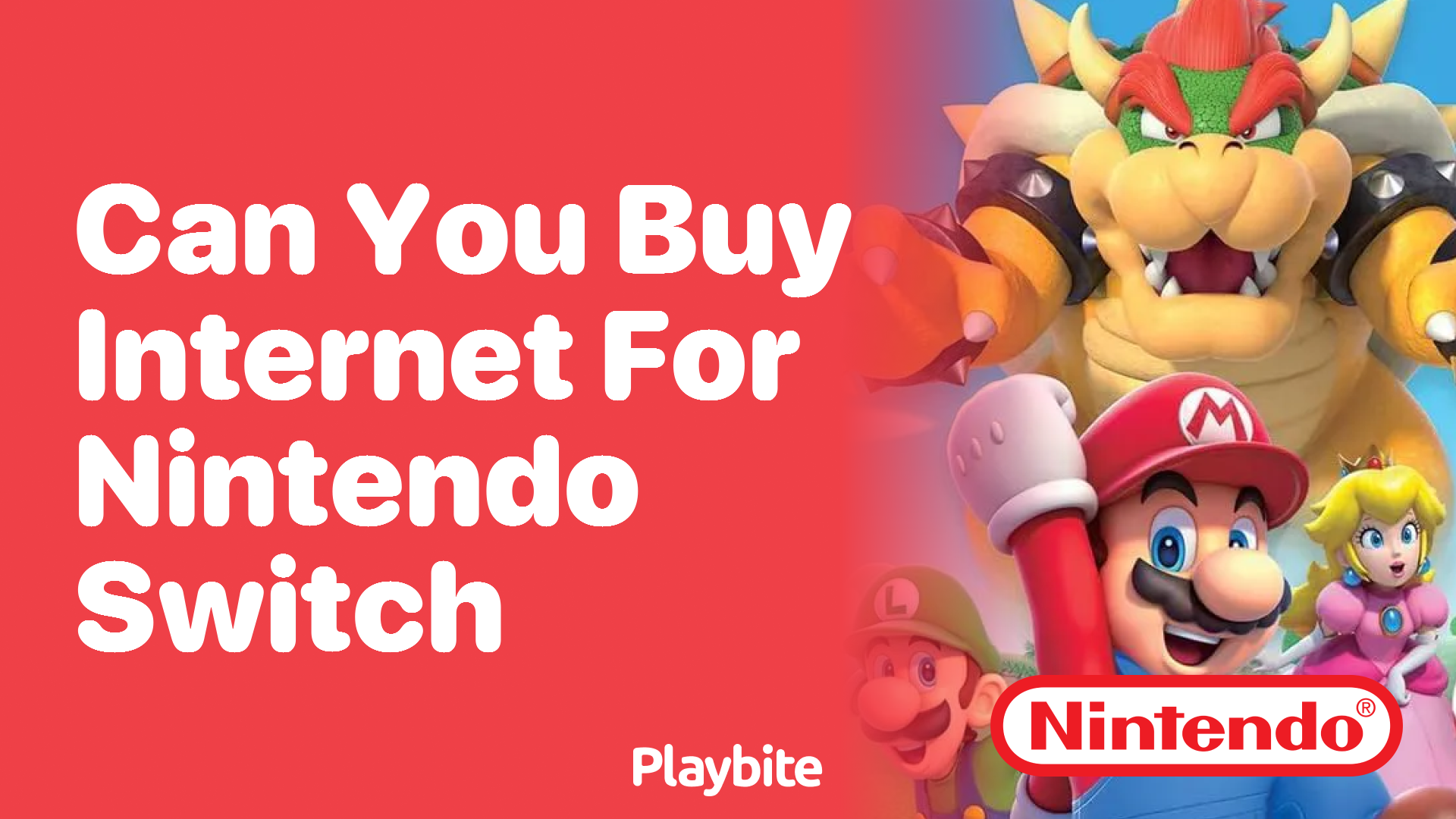 Can you go on the online internet on nintendo switch