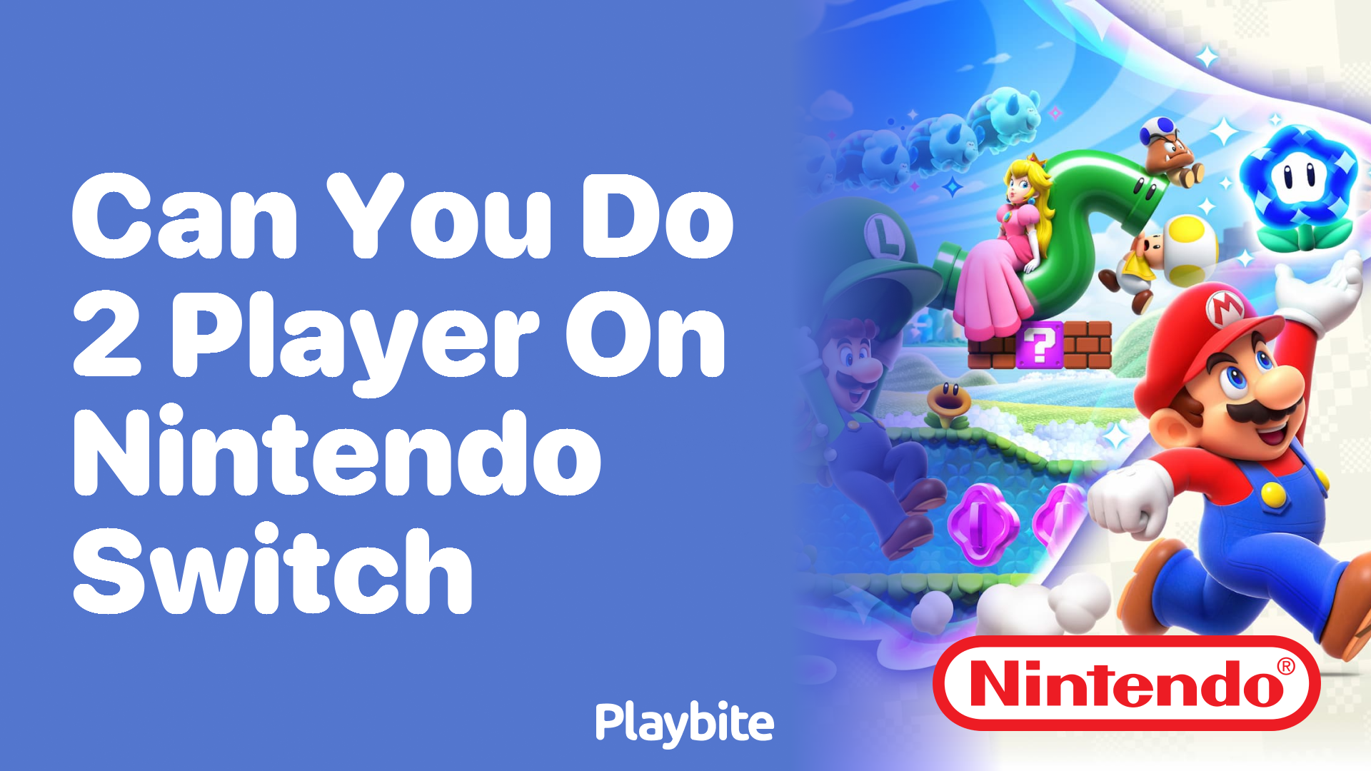 Can You Play Two-Player Games on Nintendo Switch? - Playbite