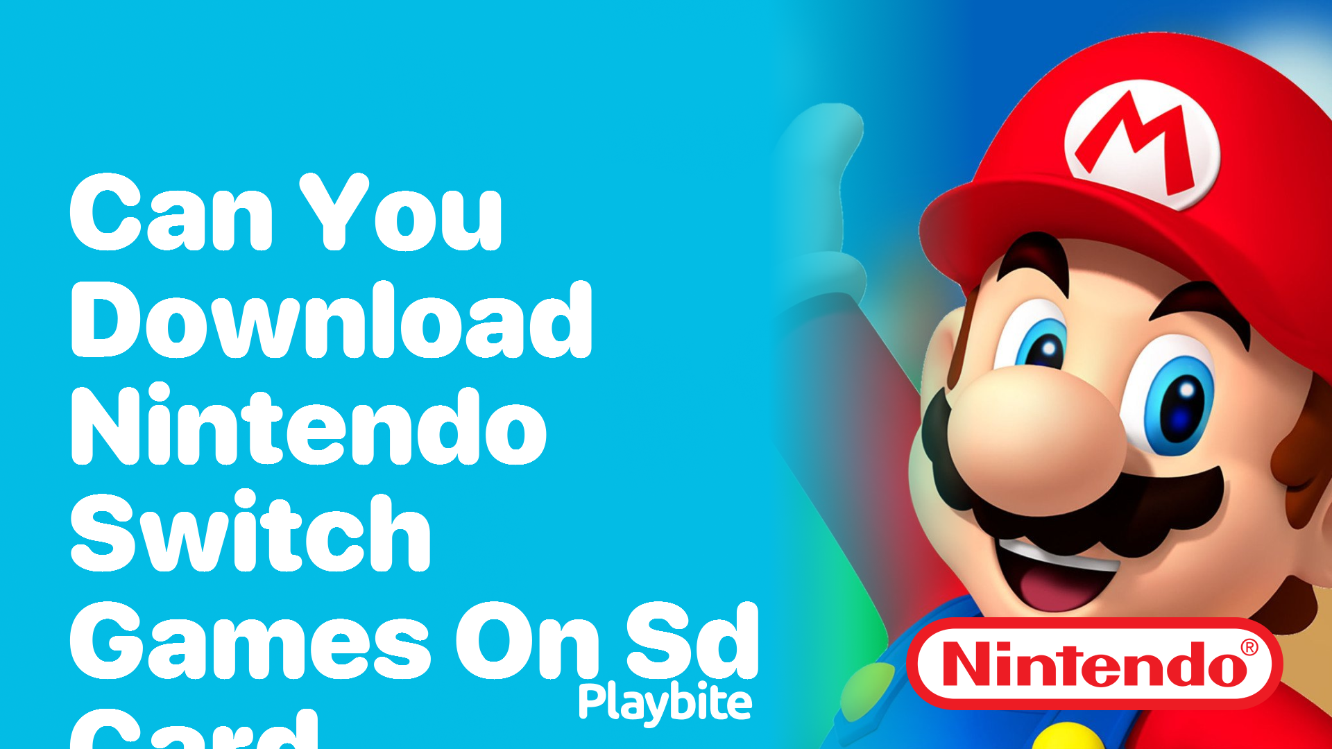 Can You Download Nintendo Switch Games on an SD Card? - Playbite