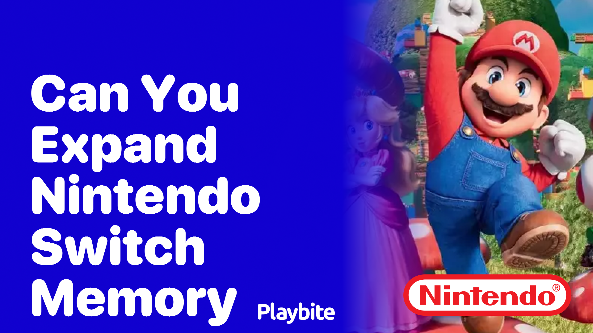 Expanding nintendo switch clearance memory