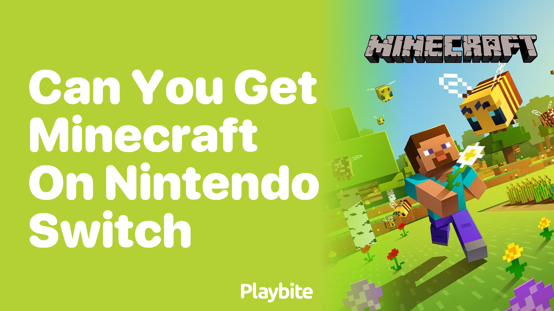 Can u get minecraft on best sale nintendo switch