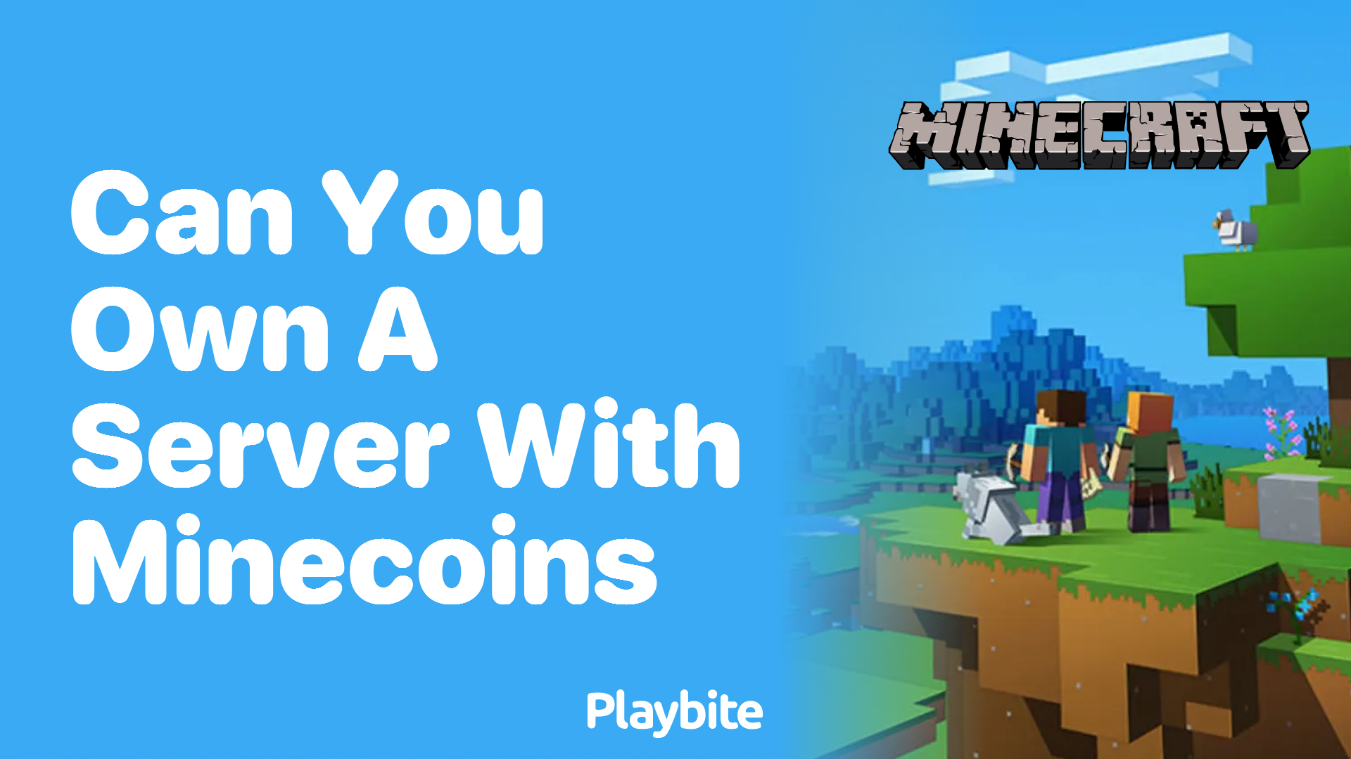 Can You Own a Server with Minecoins?