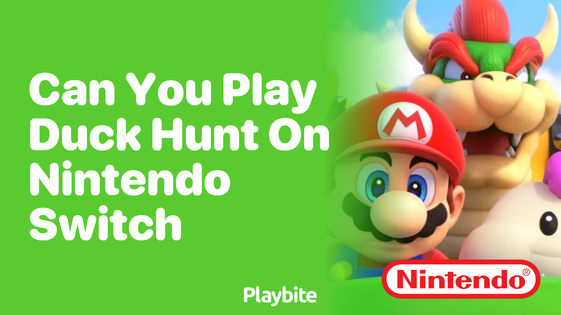 Can You Play Duck Hunt on Nintendo Switch?