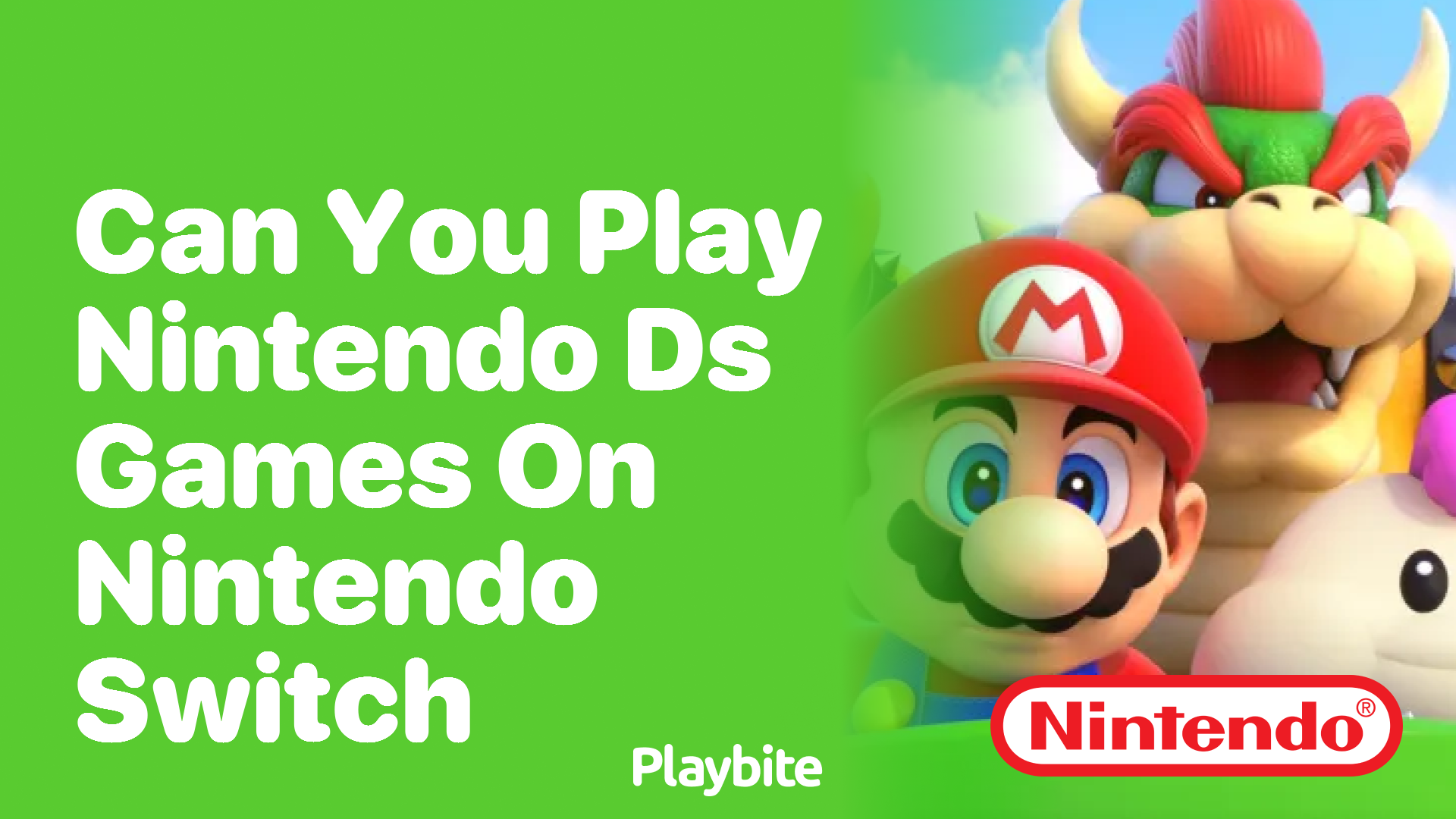 Can You Play Nintendo DS Games on Nintendo Switch? - Playbite