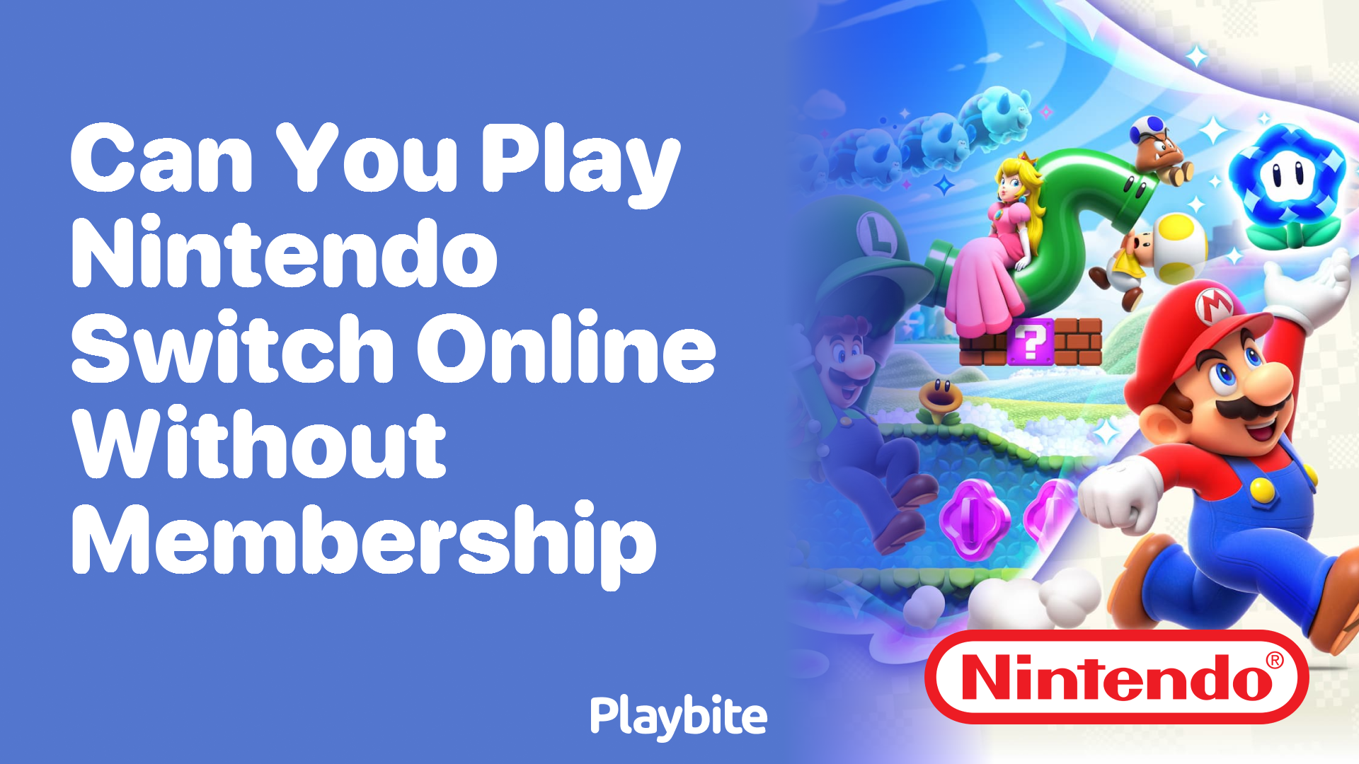 Can you best sale play switch online