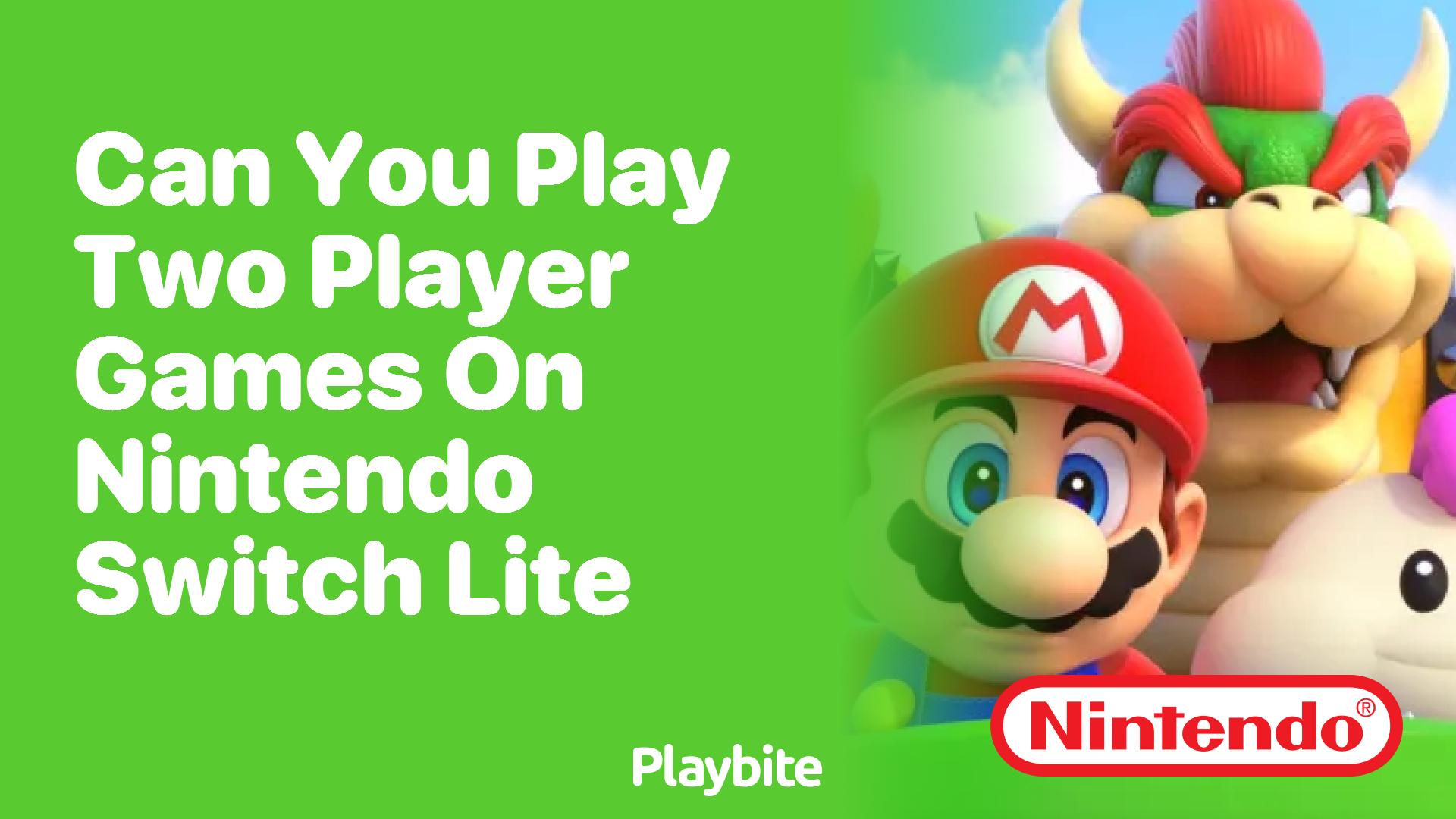 Can You Play Two-Player Games on Nintendo Switch Lite? - Playbite