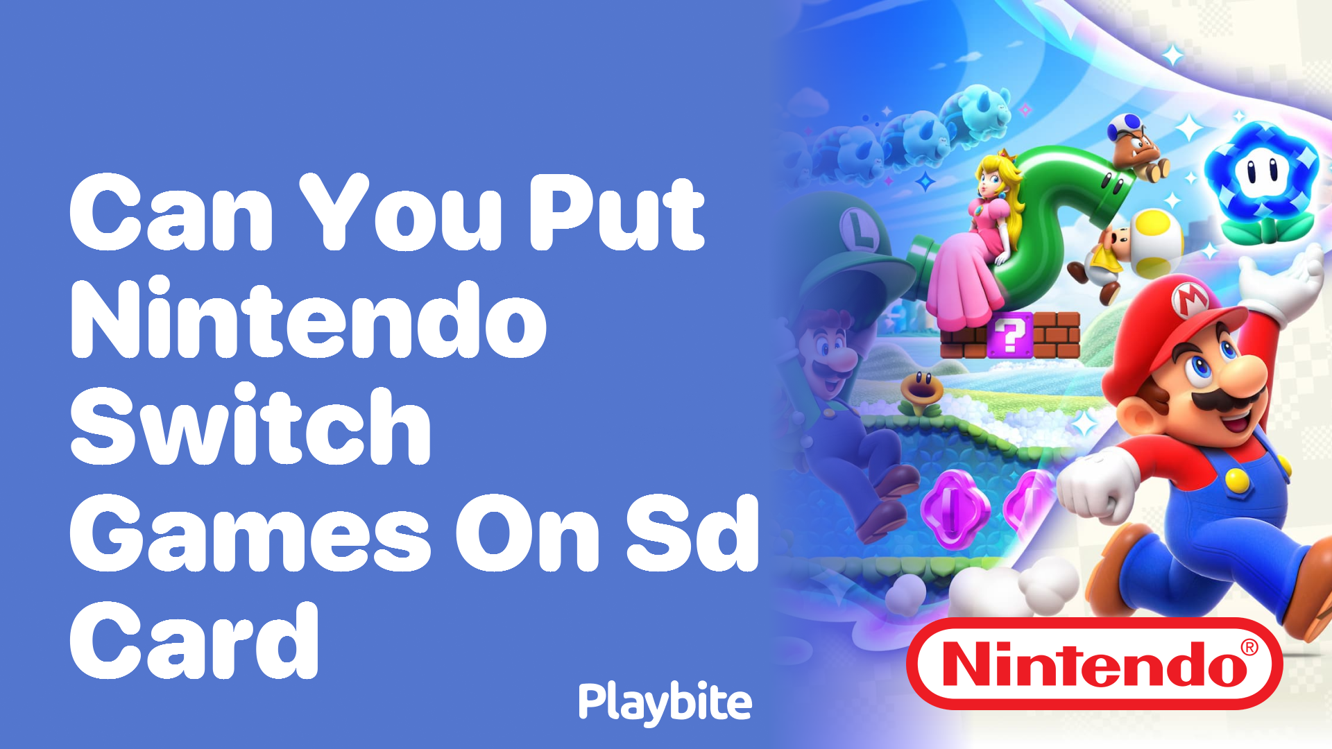 Can You Put Nintendo Switch Games on an SD Card? - Playbite