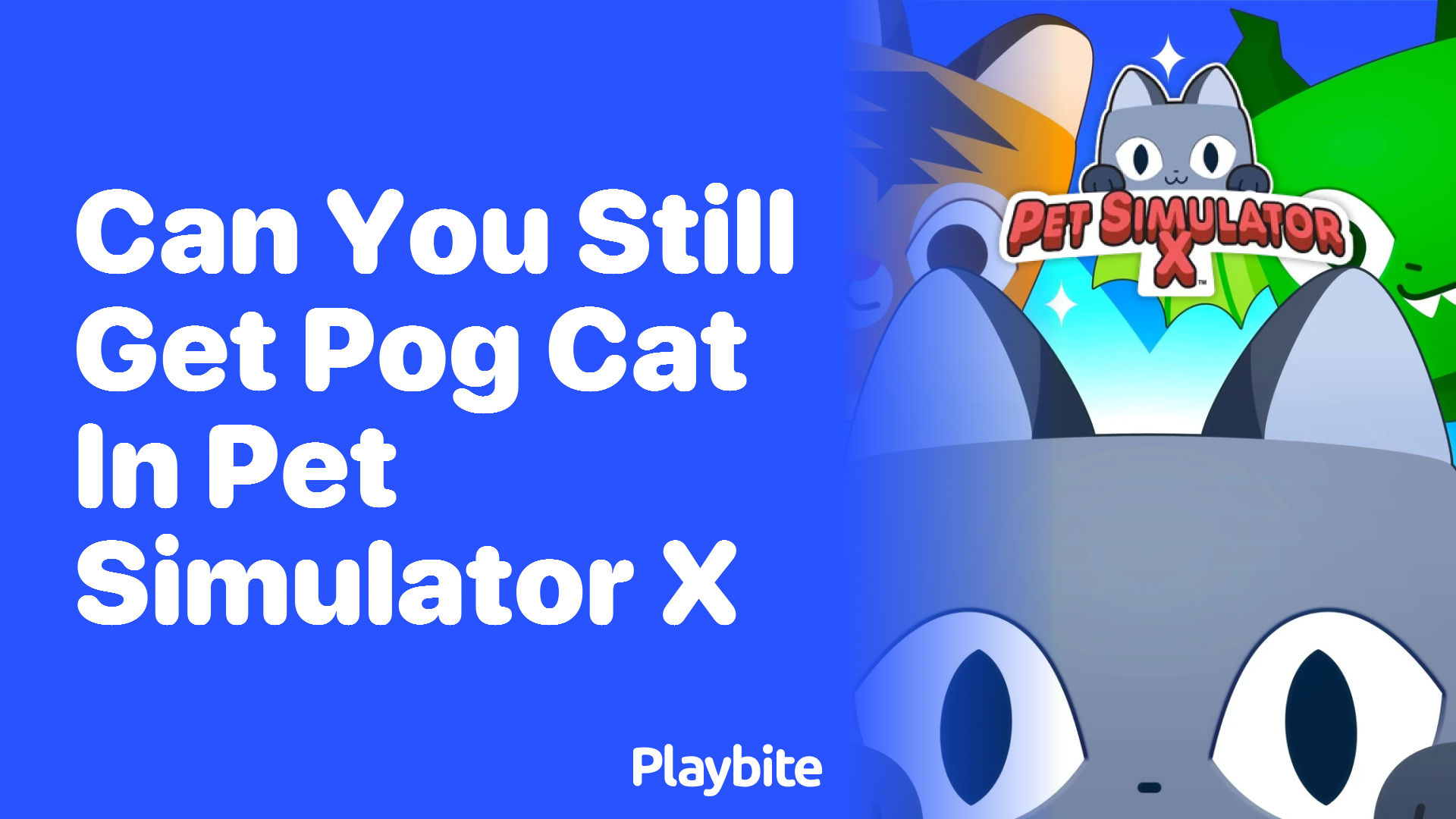 Can You Still Get Pog Cat in Pet Simulator X?