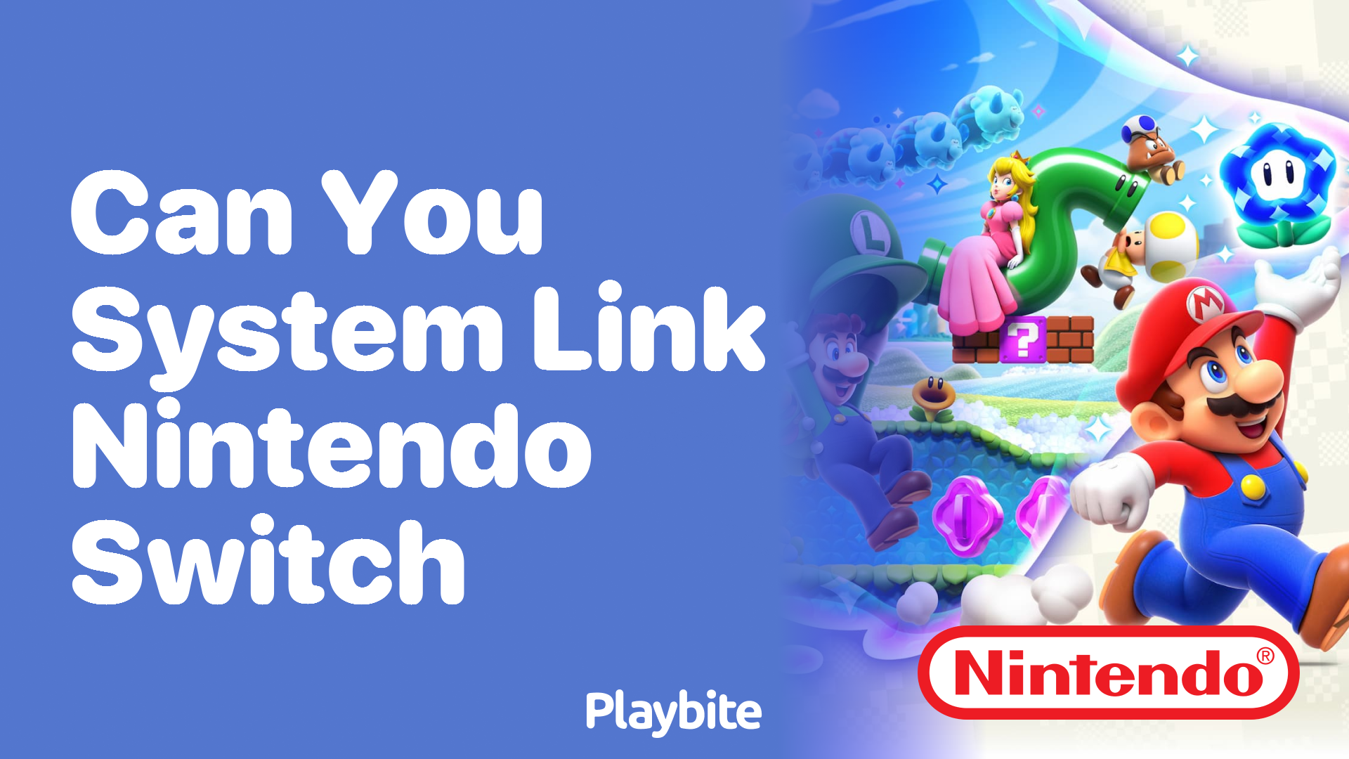 Can You System Link Nintendo Switch for Multiplayer Fun? - Playbite