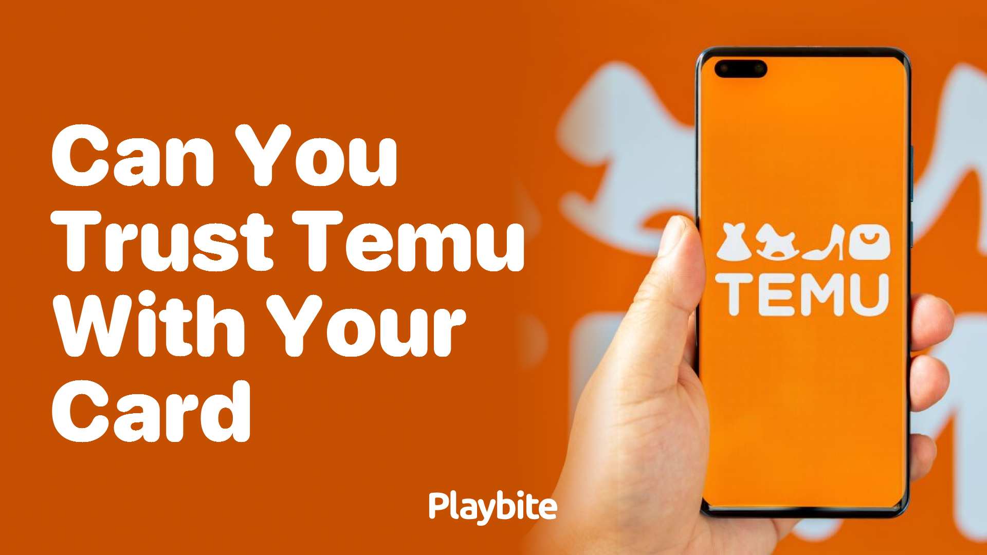 Can You Trust Temu with Your Card Information?