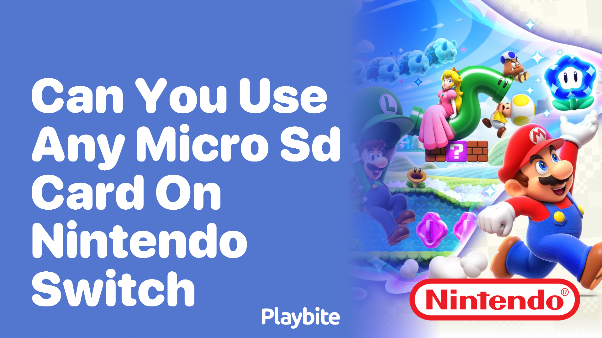 Can you use any micro on sale sd card in a nintendo switch