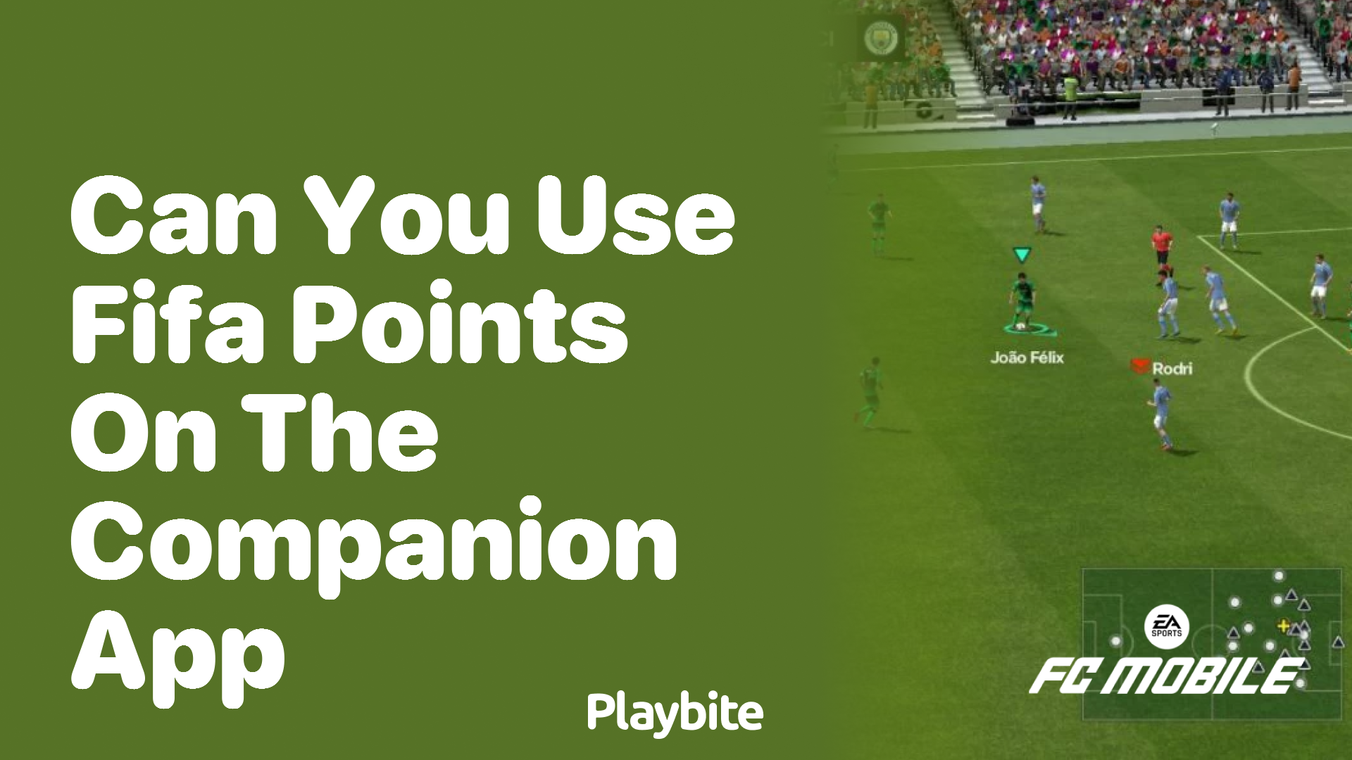 Can You Use FIFA Points on the EA Sports FC Mobile Companion App?